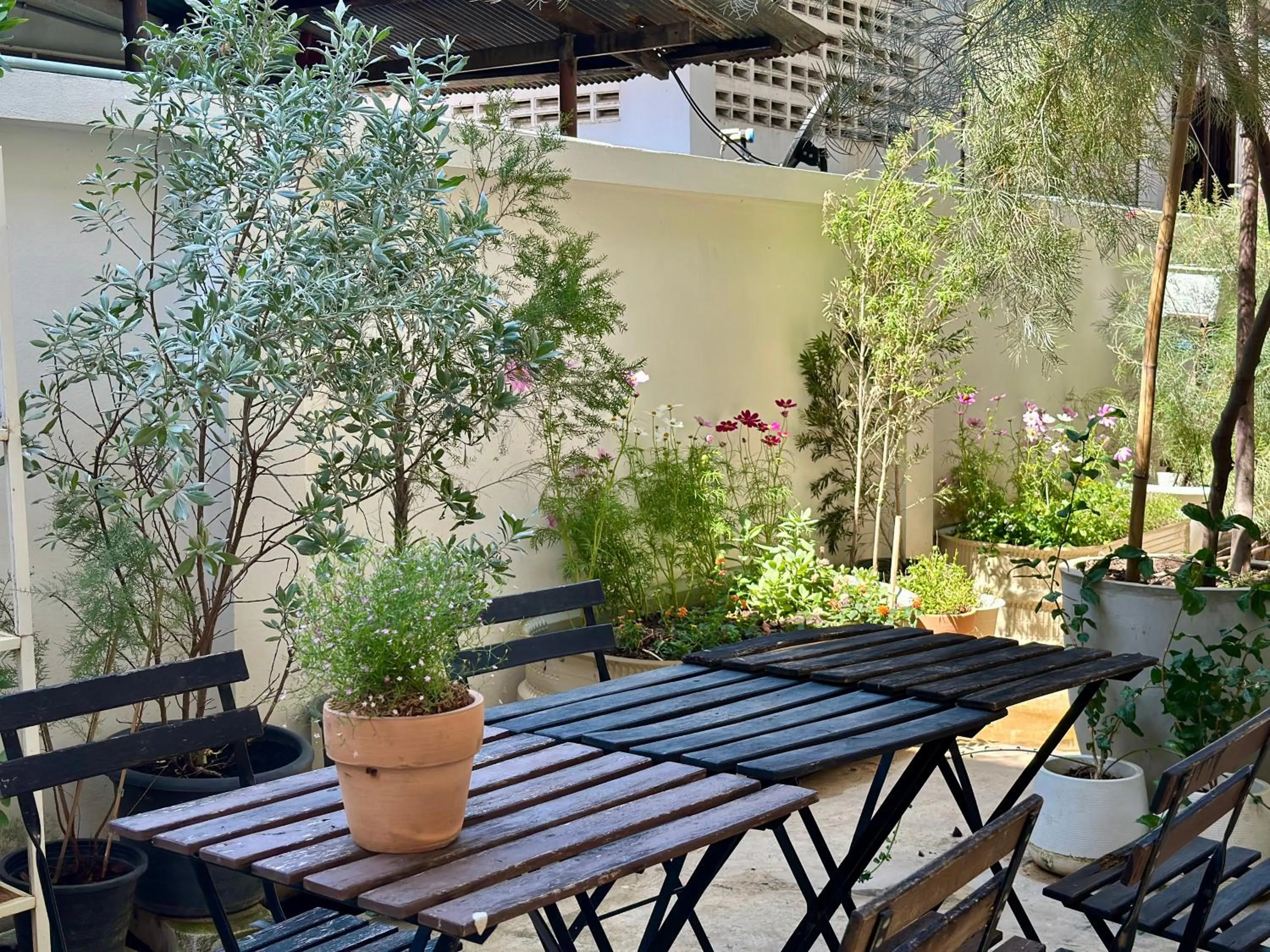 Restaurant/places to eat in Your Home AYUTTHAYA