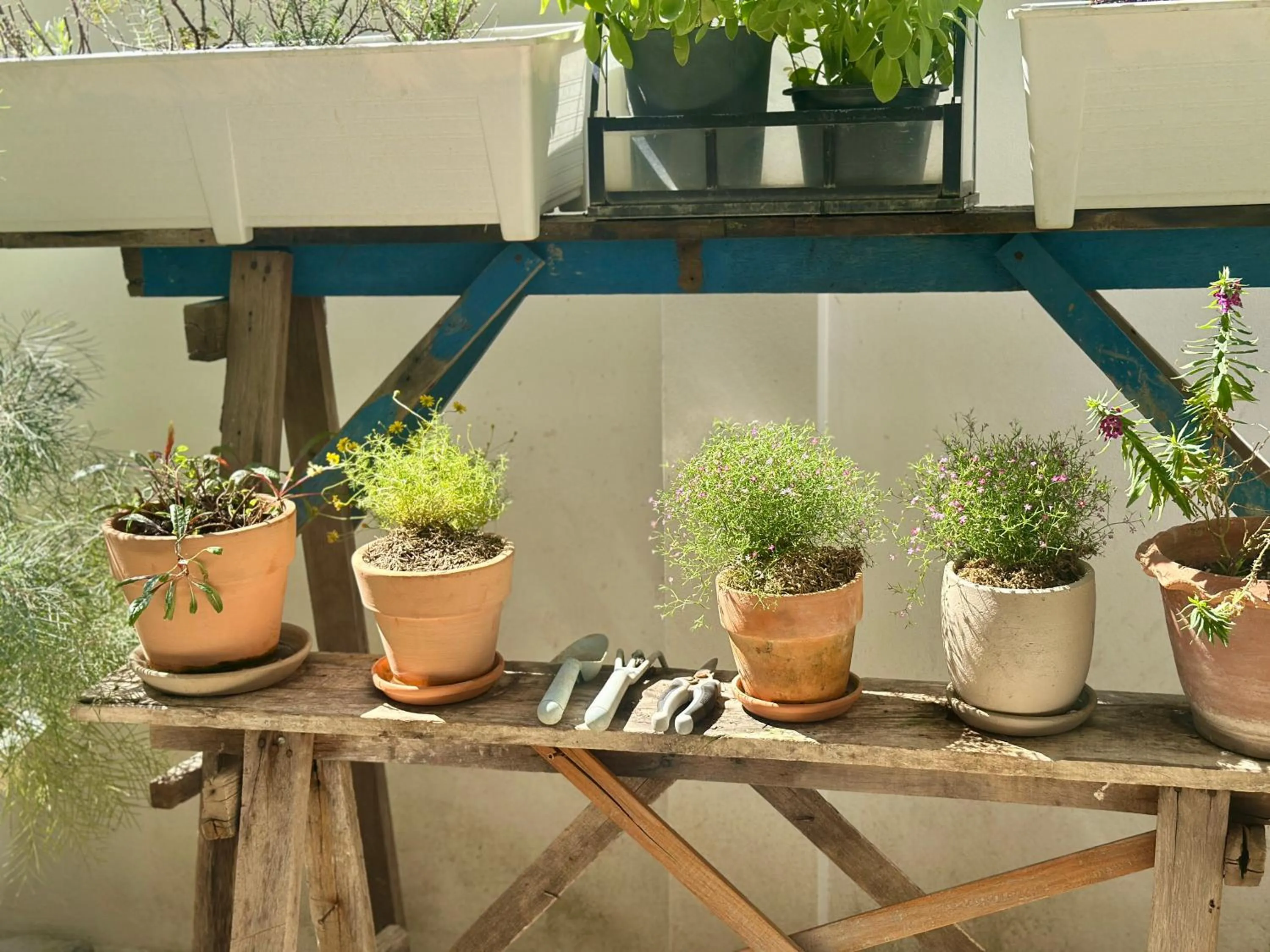 Restaurant/places to eat in Your Home AYUTTHAYA