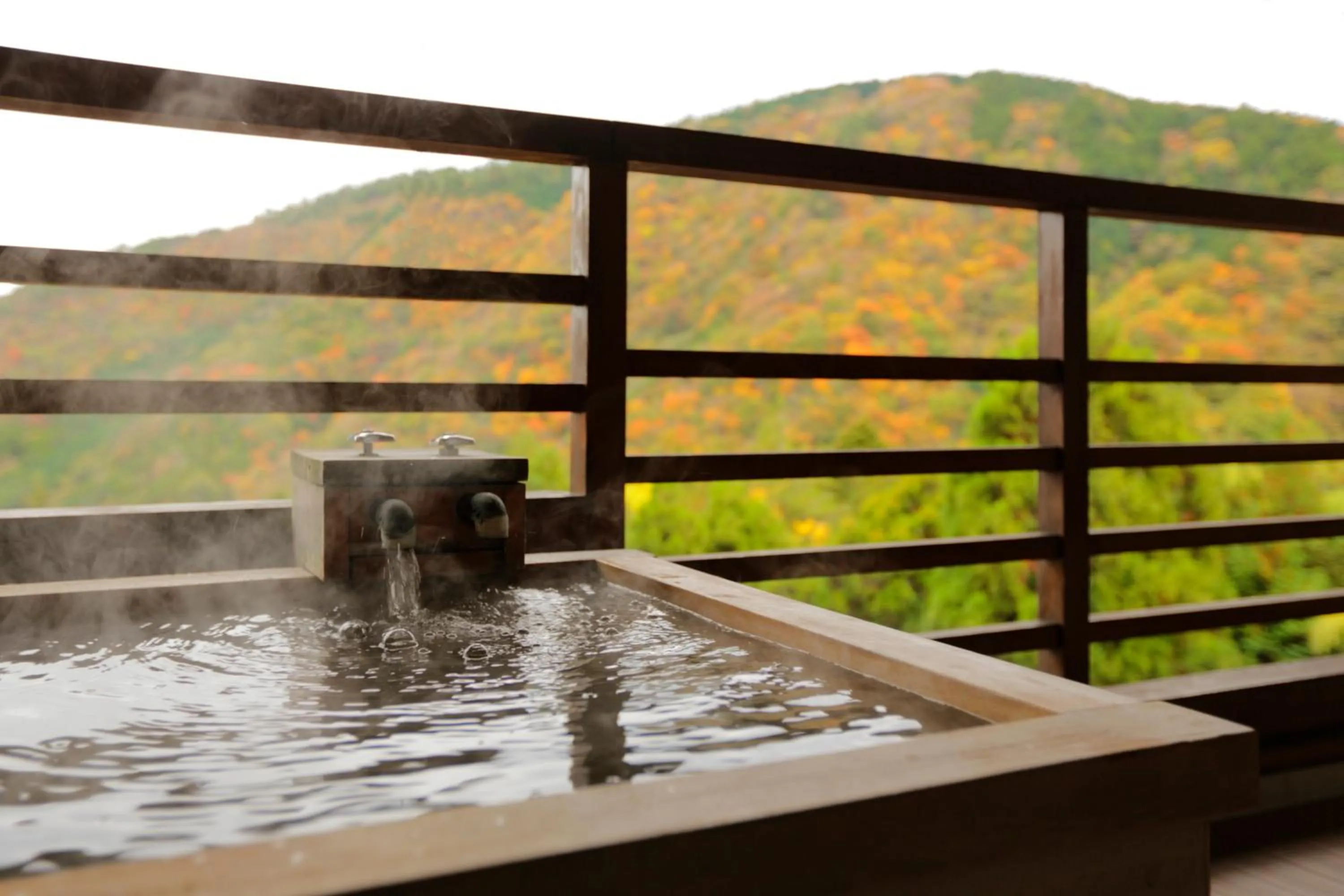 Natural landscape in Mizunoto Reopening on April 1, 2025