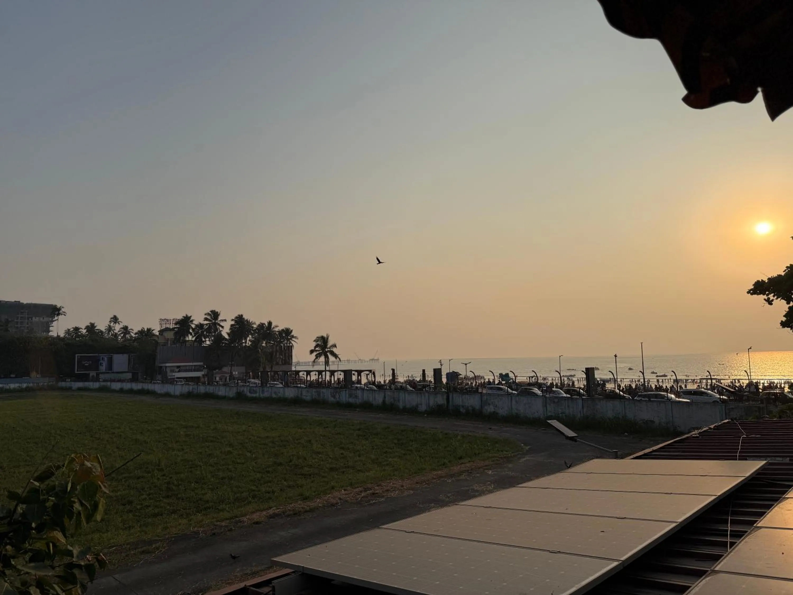 Natural landscape in Hotel Beach Garden