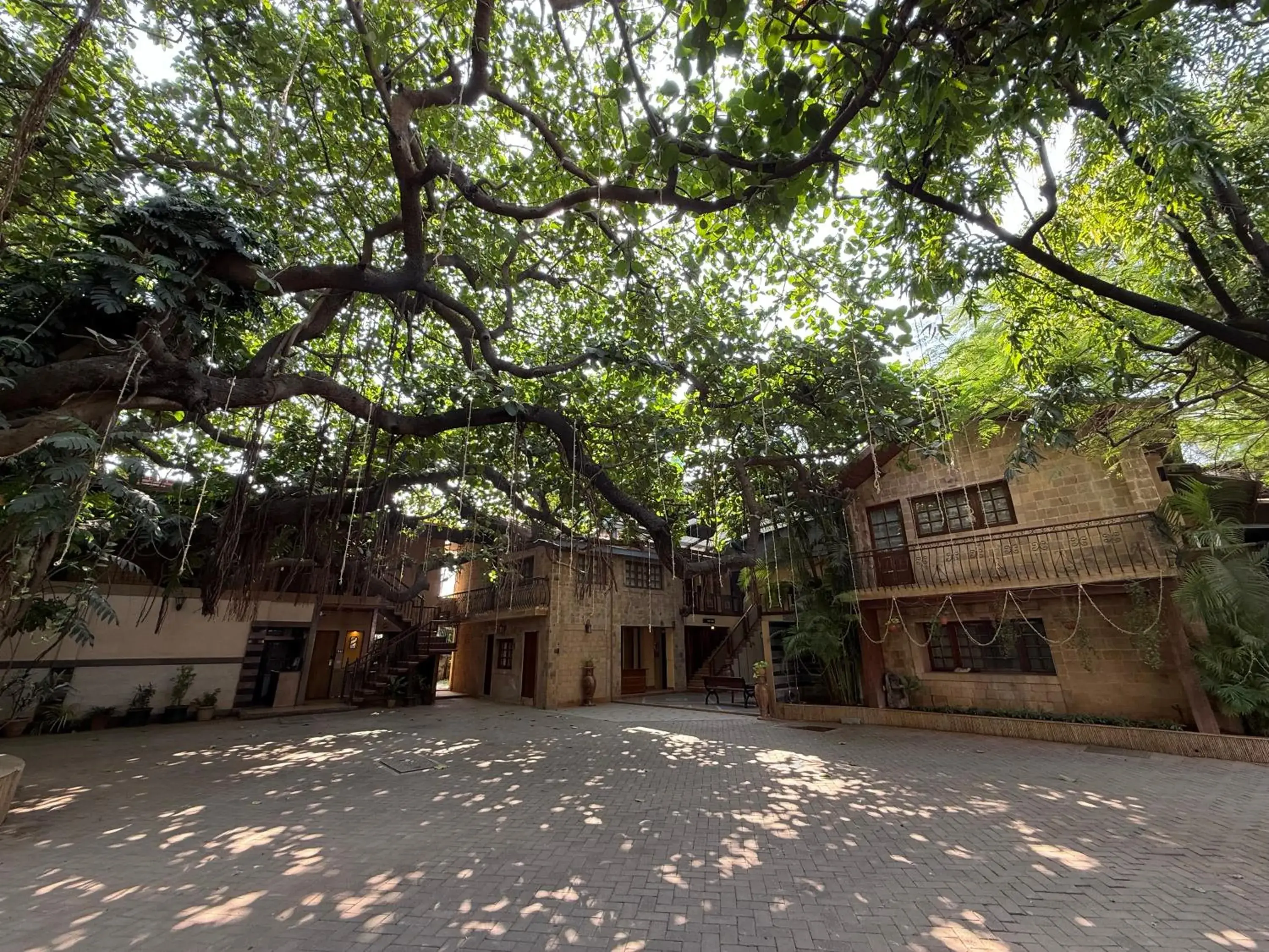 Hotel Beach Garden Hotel Beach Garden