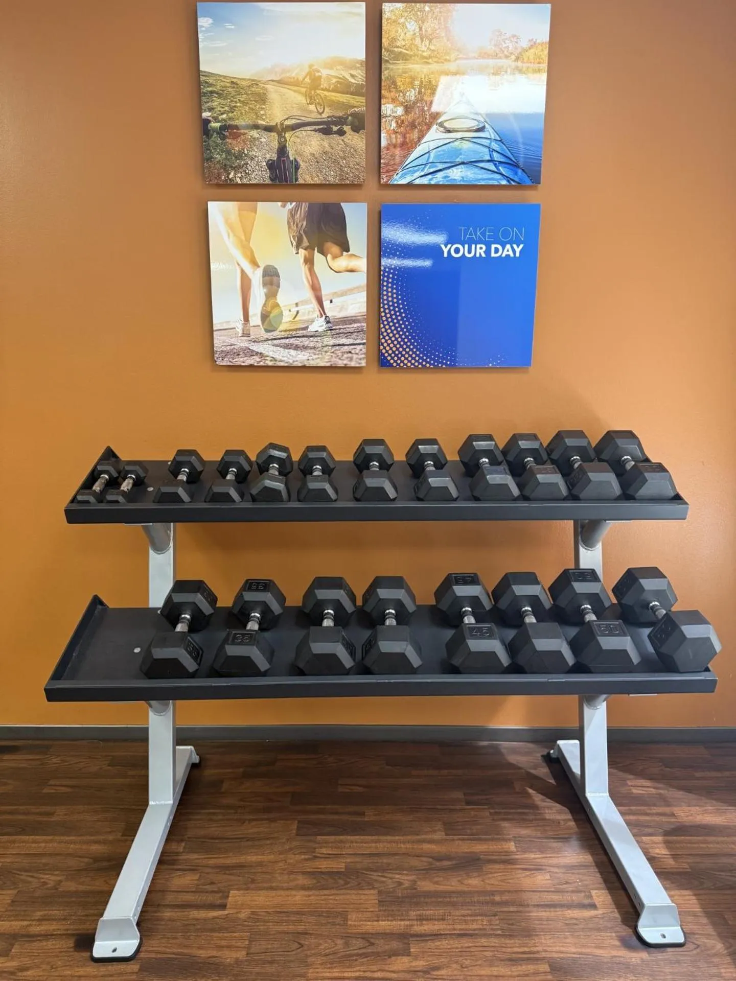 Comfort Suites Dunnellon near Rainbow Springs