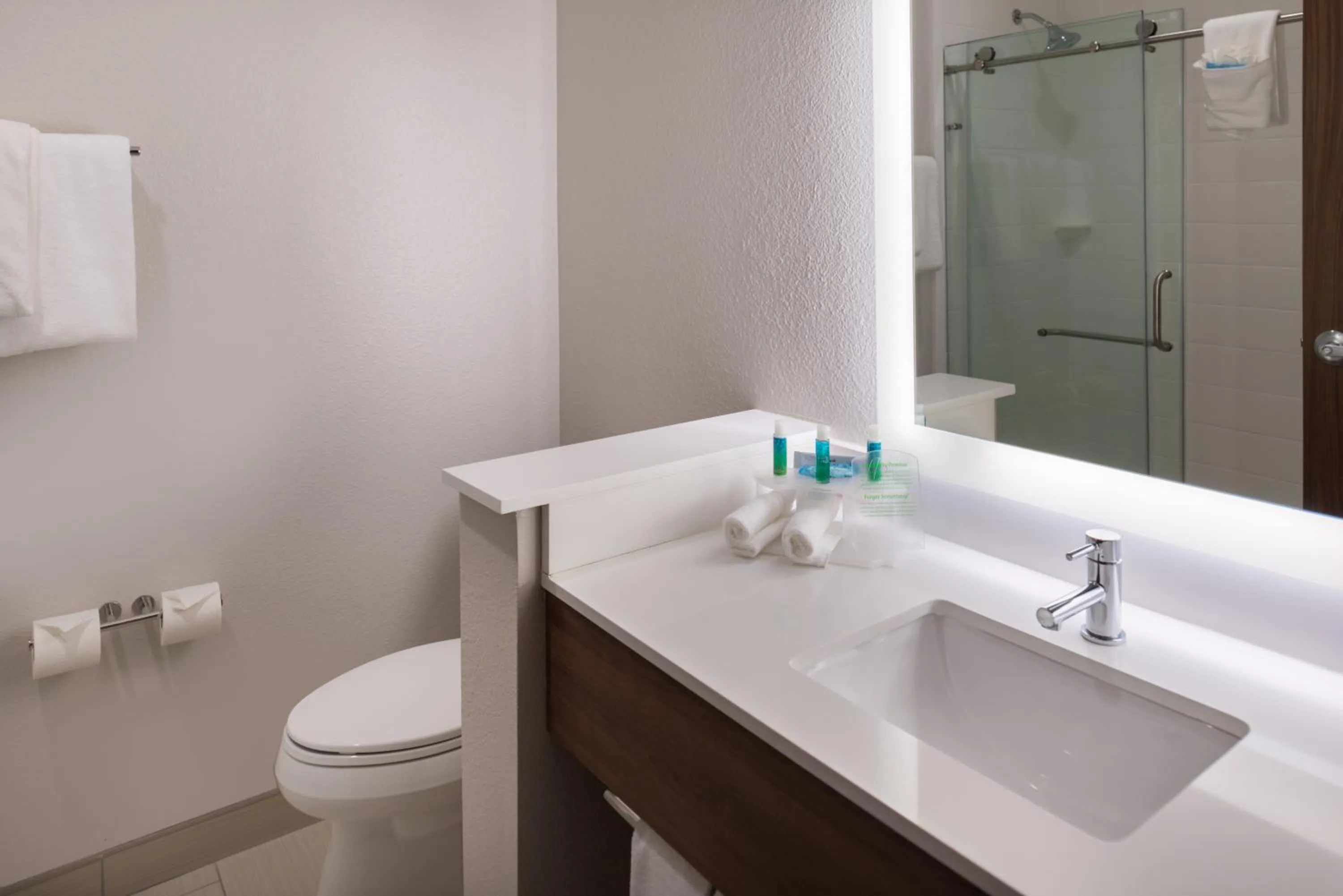 Bathroom in Holiday Inn Express Fort Worth West by IHG