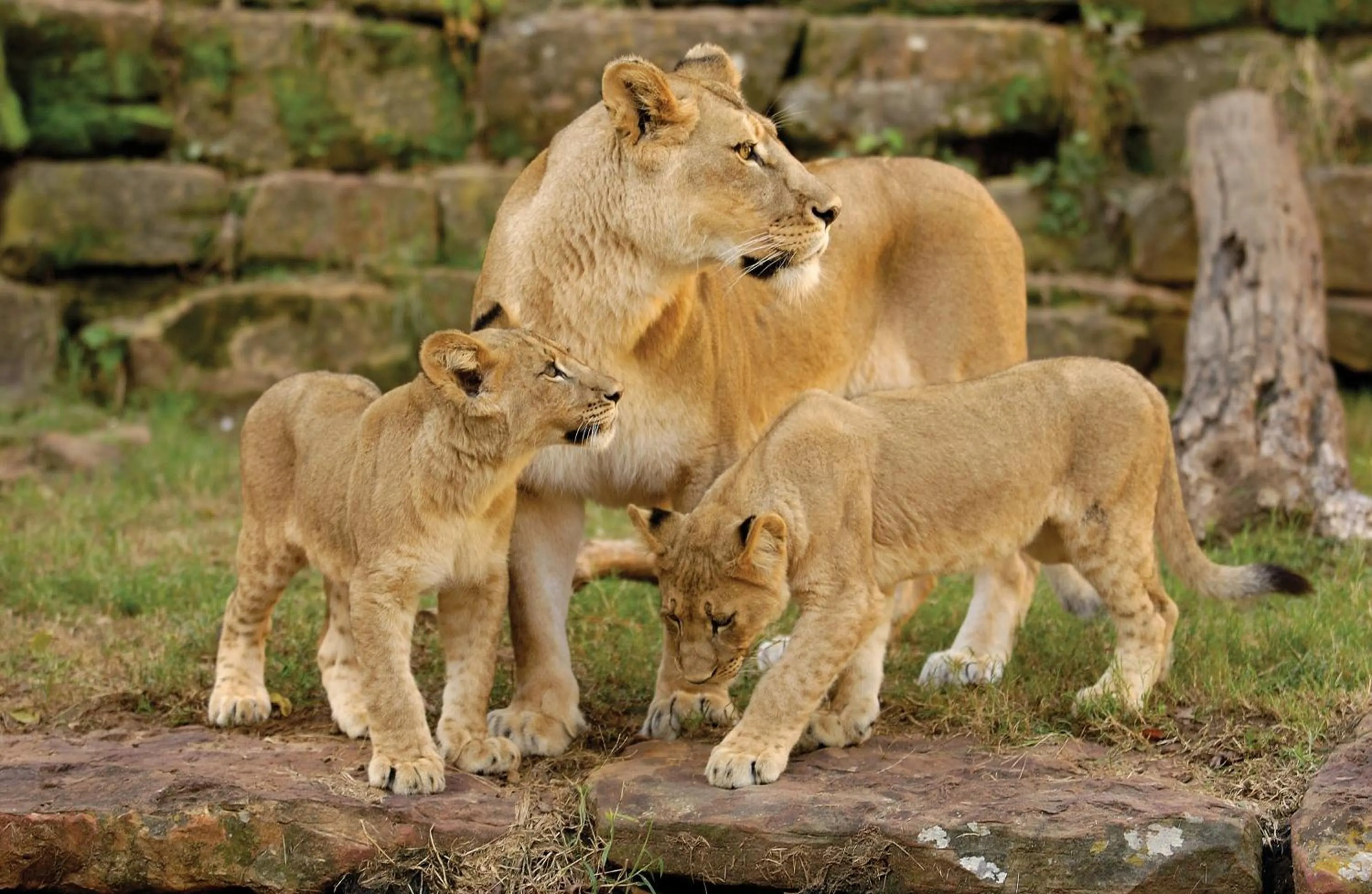Nearby landmark in Holiday Inn Express Fort Worth West by IHG