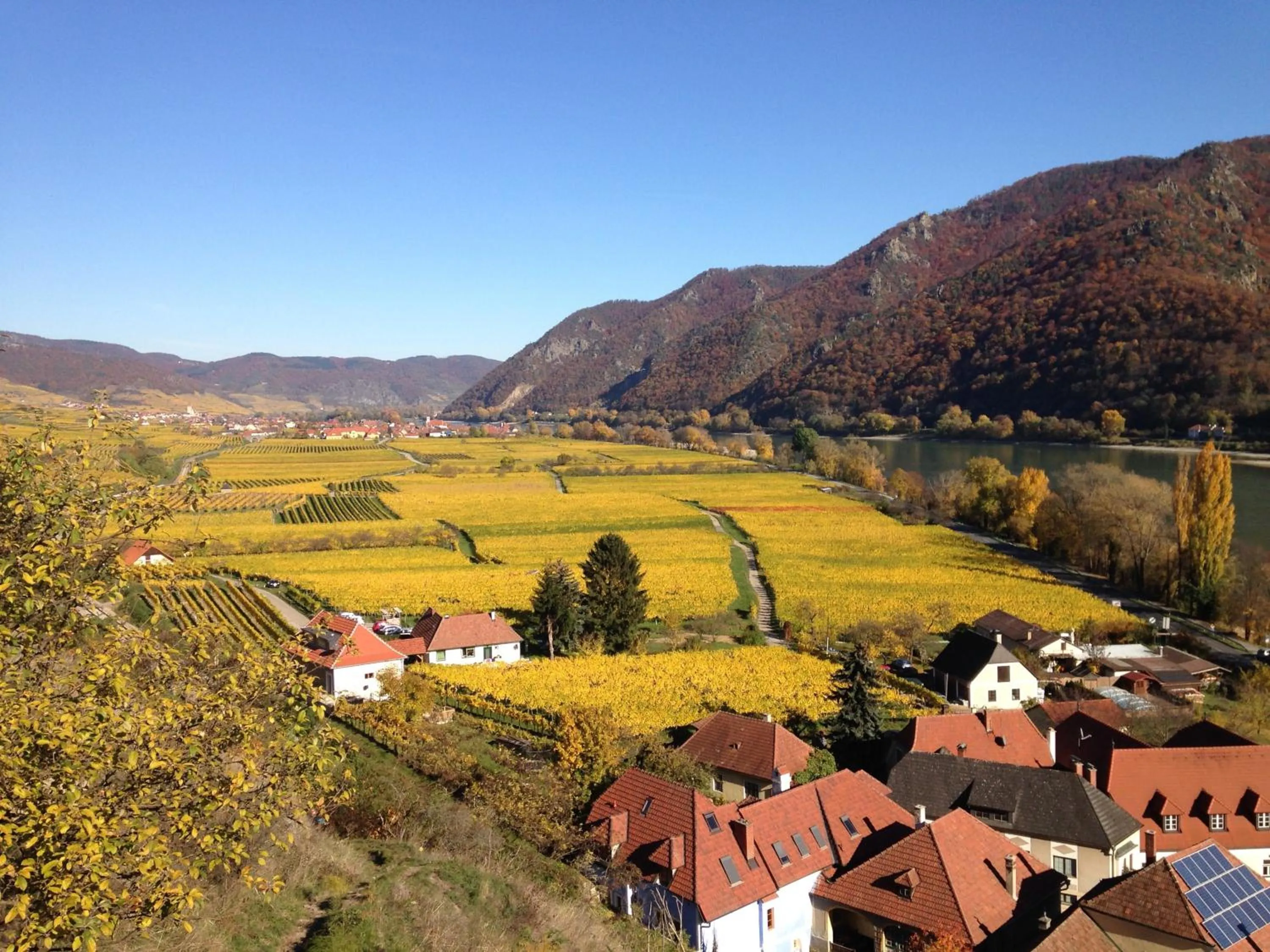 View (from property/room) in Apartement Schlaf Gut - mitten in der Wachau