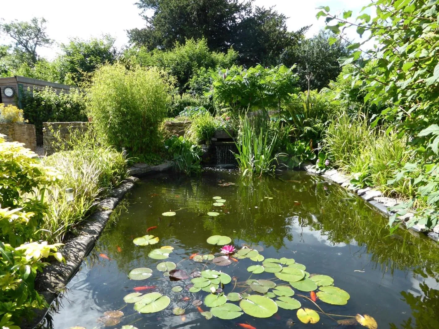Garden view in Liongate House