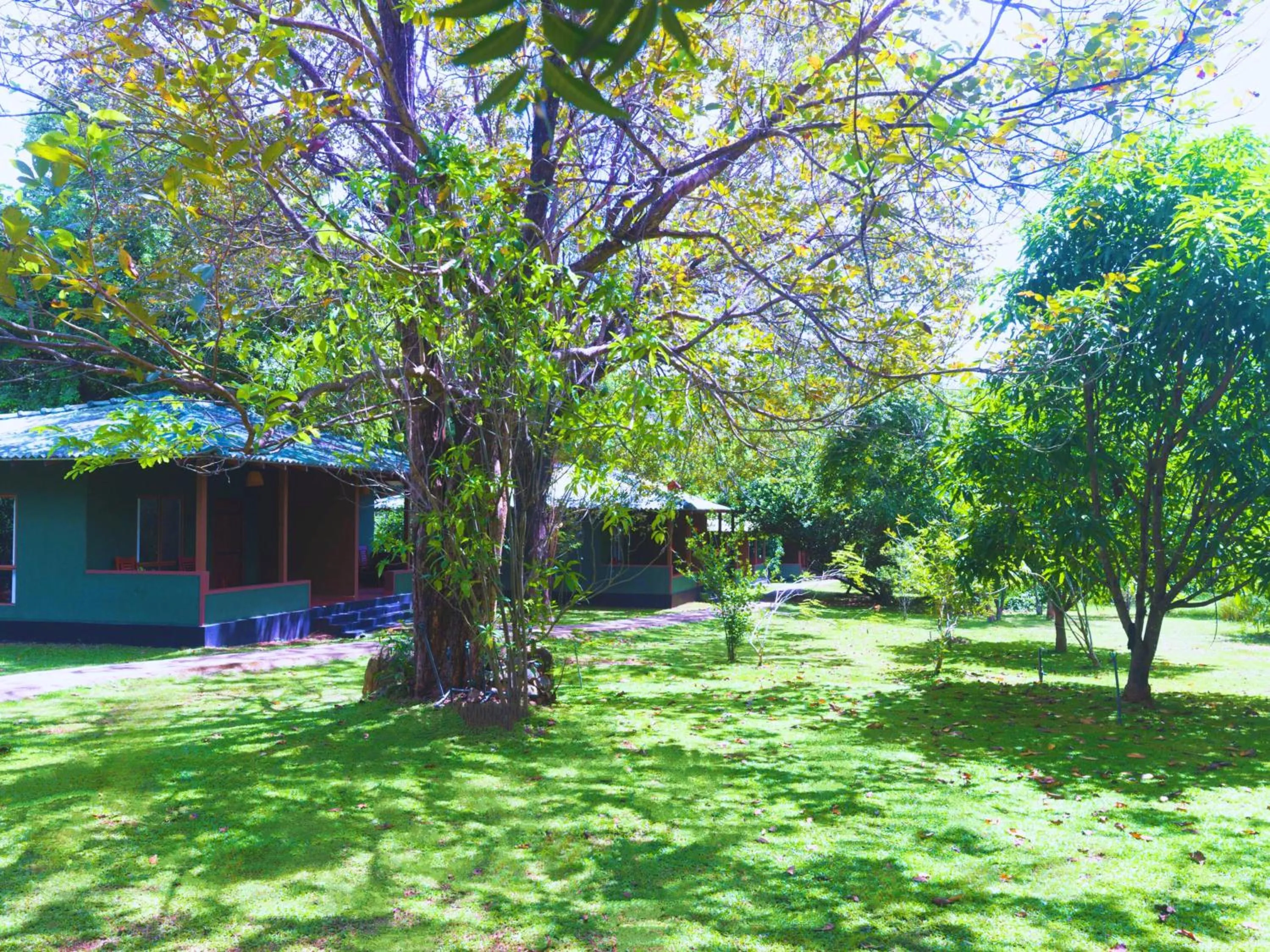 Garden in Pinthaliya Resort