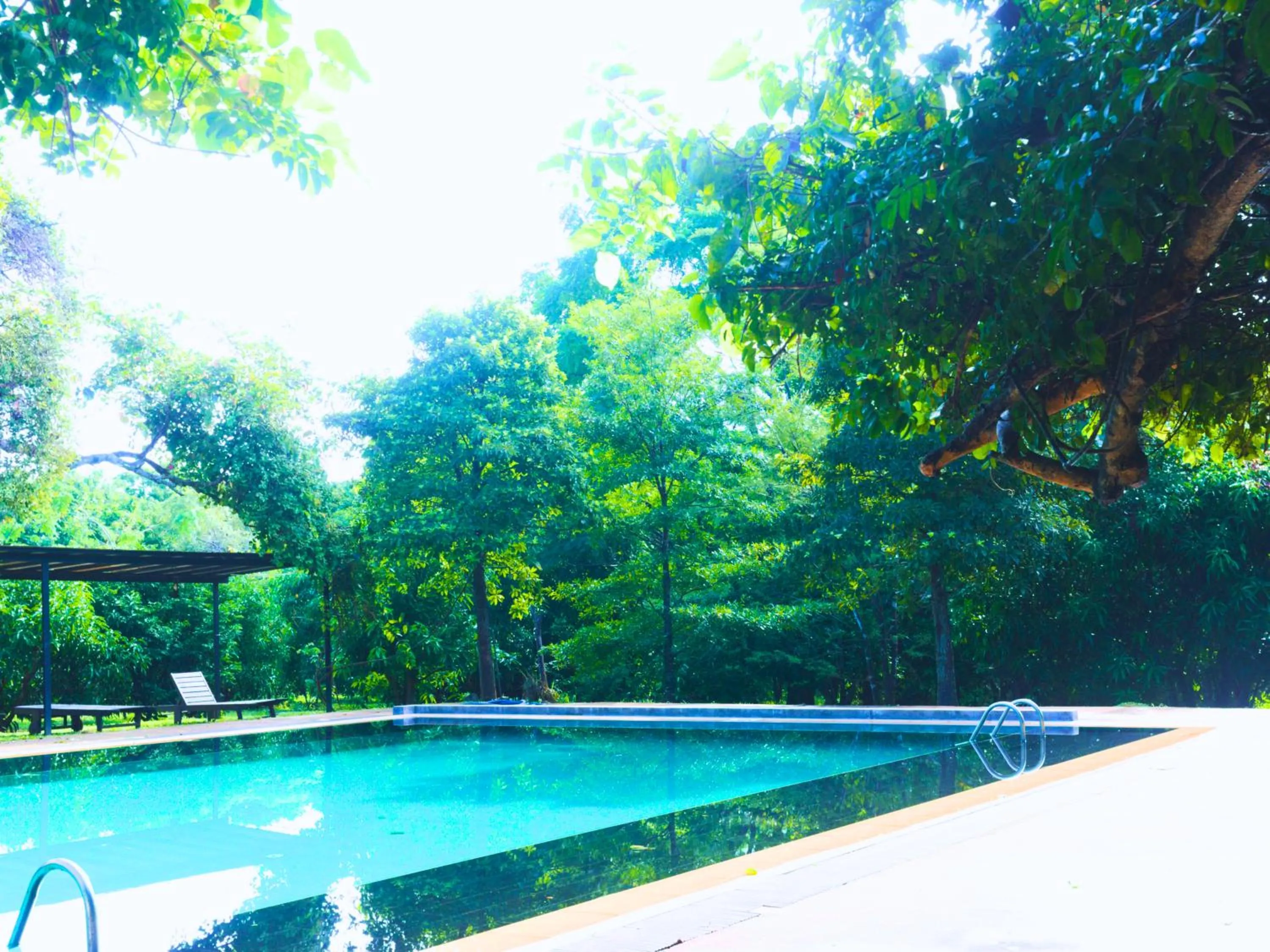 Pool view in Pinthaliya Resort