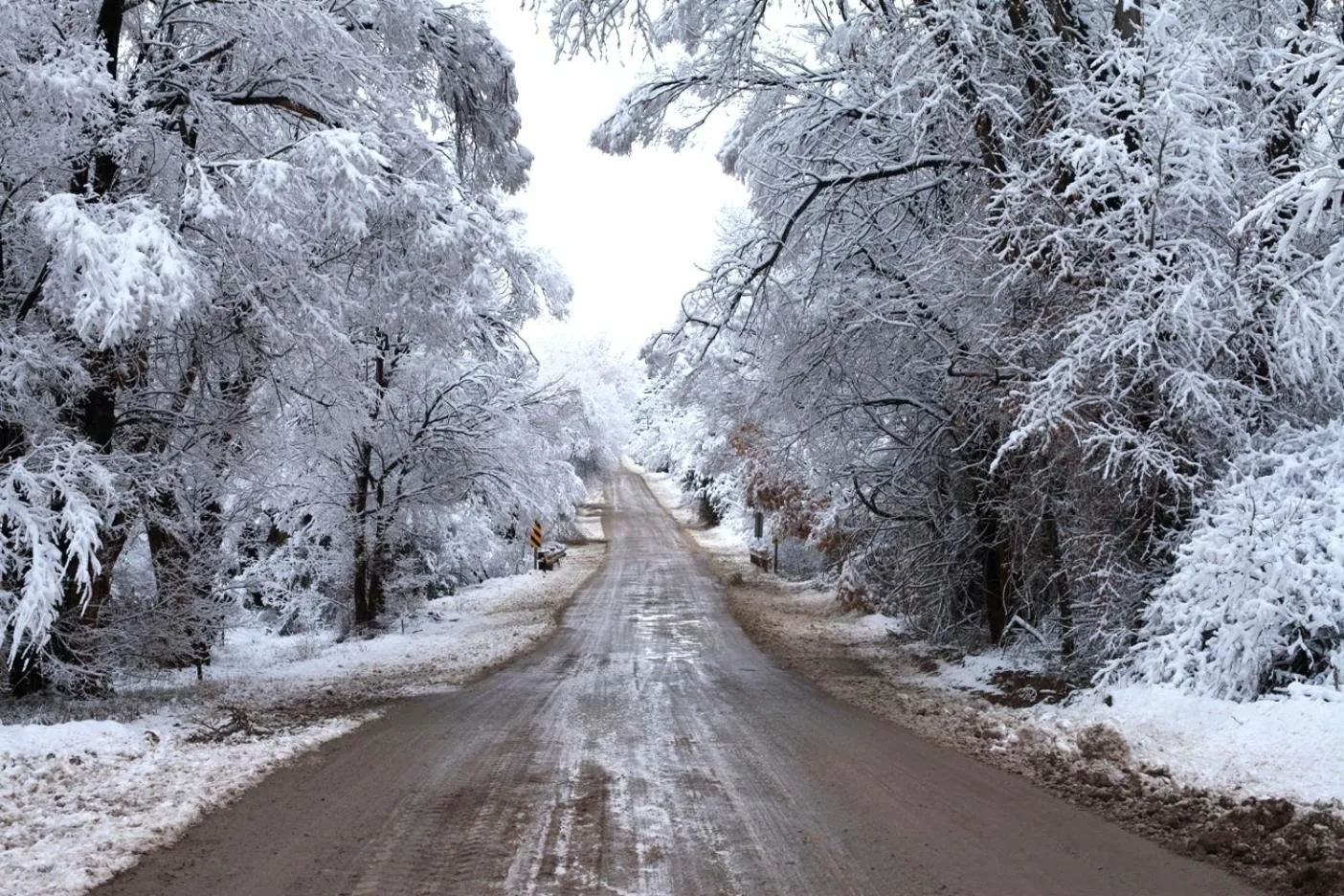 Winter in Taos Goji Farm & Eco-Lodge Retreat