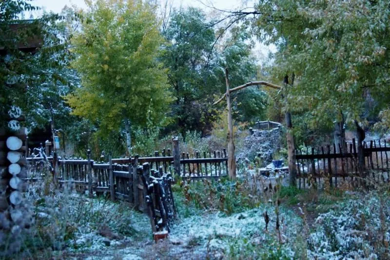 Natural landscape in Taos Goji Farm & Eco-Lodge Retreat