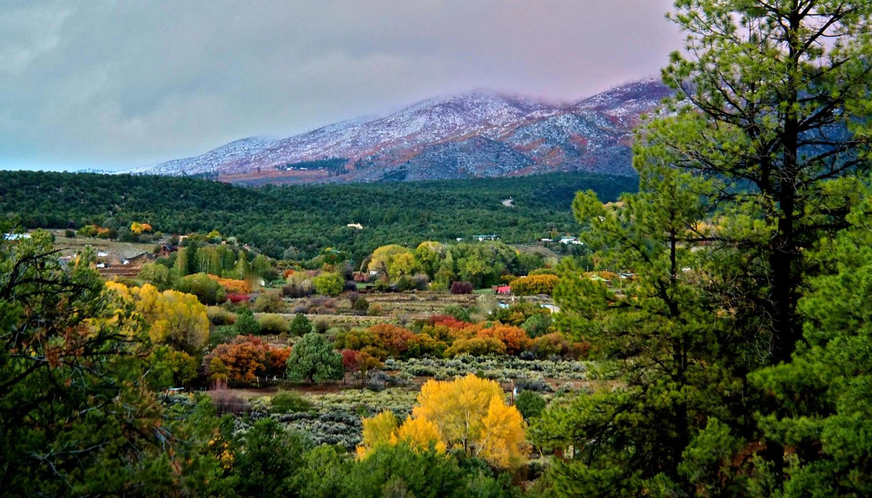 Natural landscape in Taos Goji Farm & Eco-Lodge Retreat
