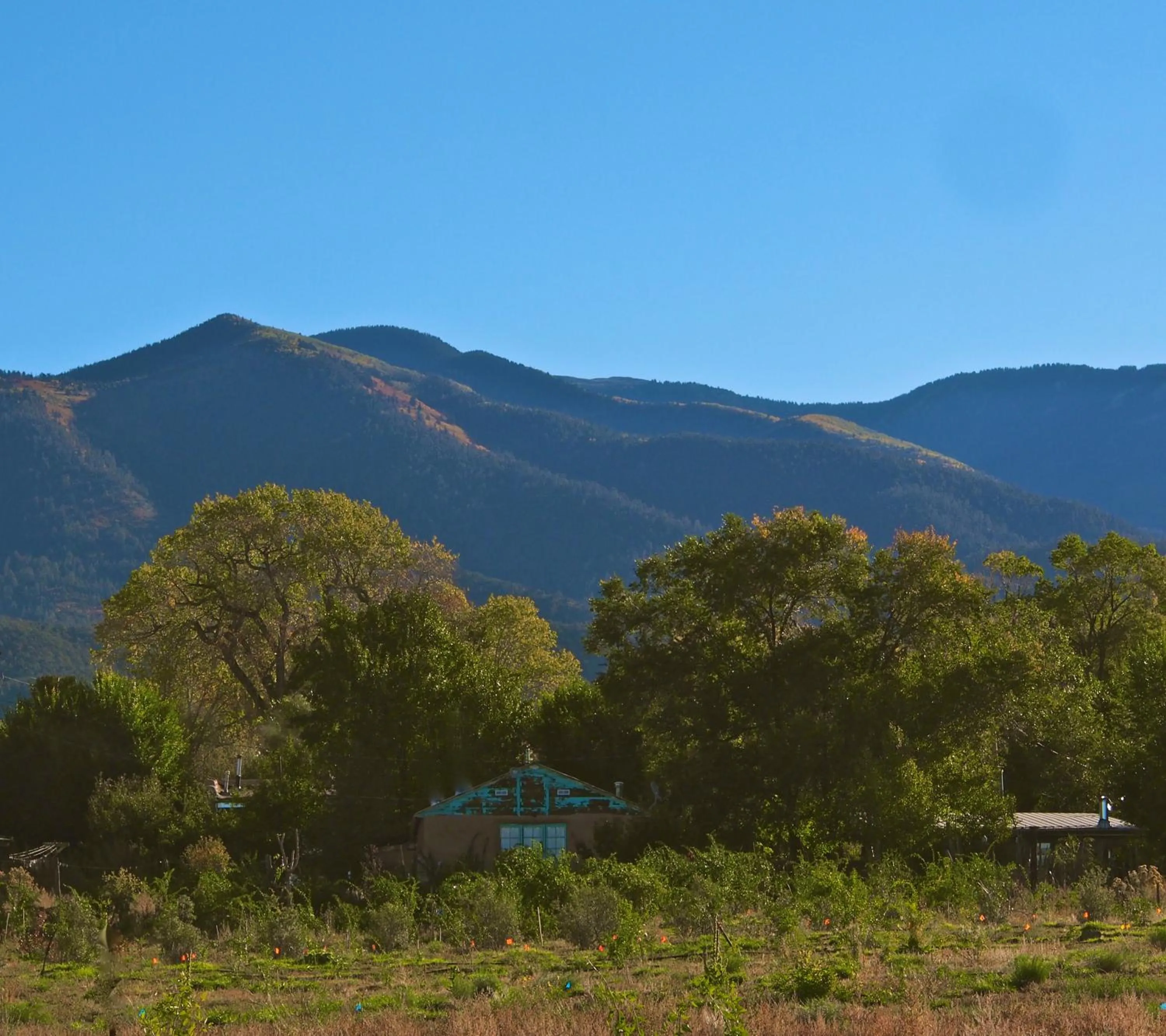 Day in Taos Goji Farm & Eco-Lodge Retreat