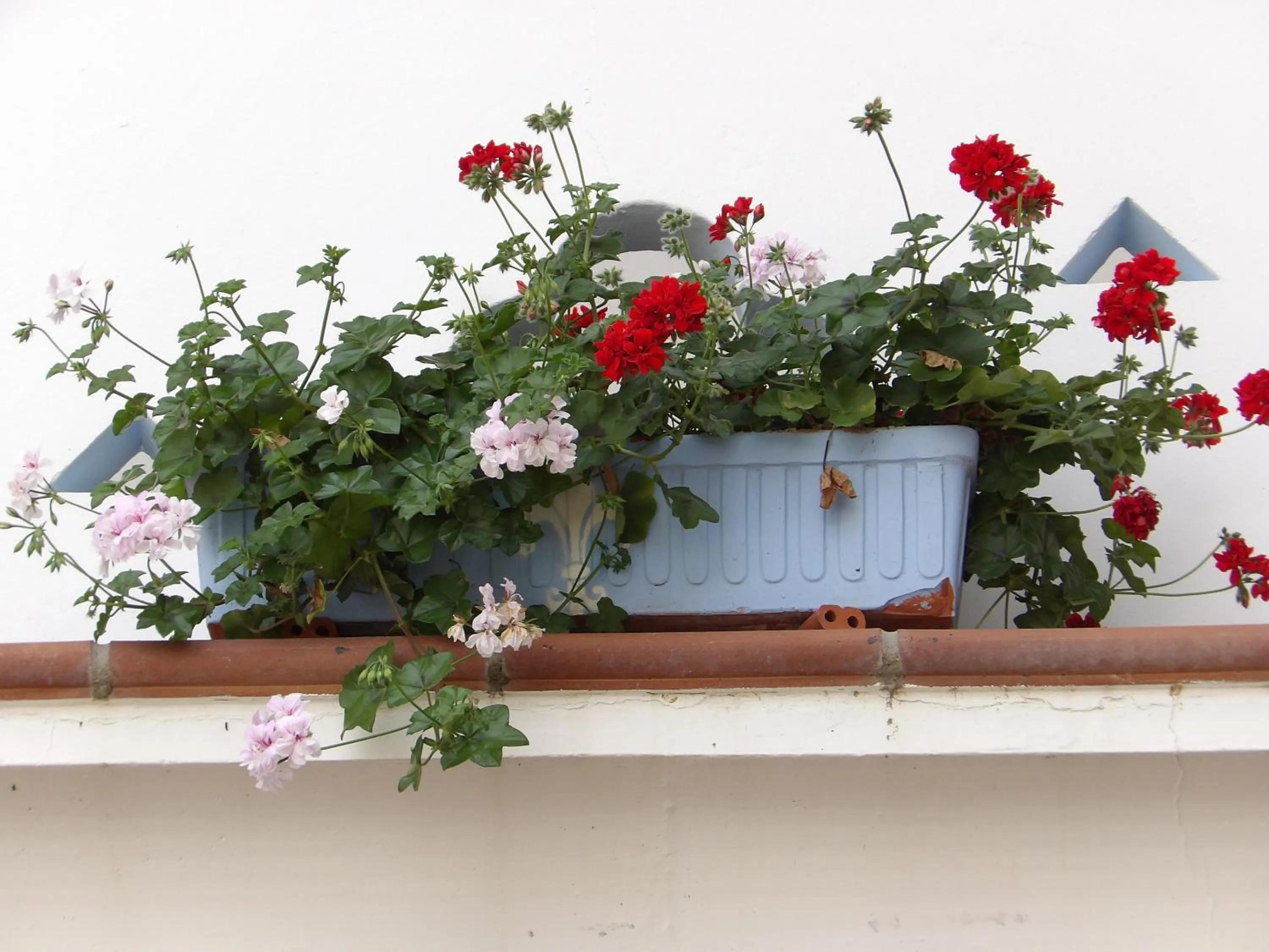 Decorative detail in Palacio Doñana , Rural & Luxury