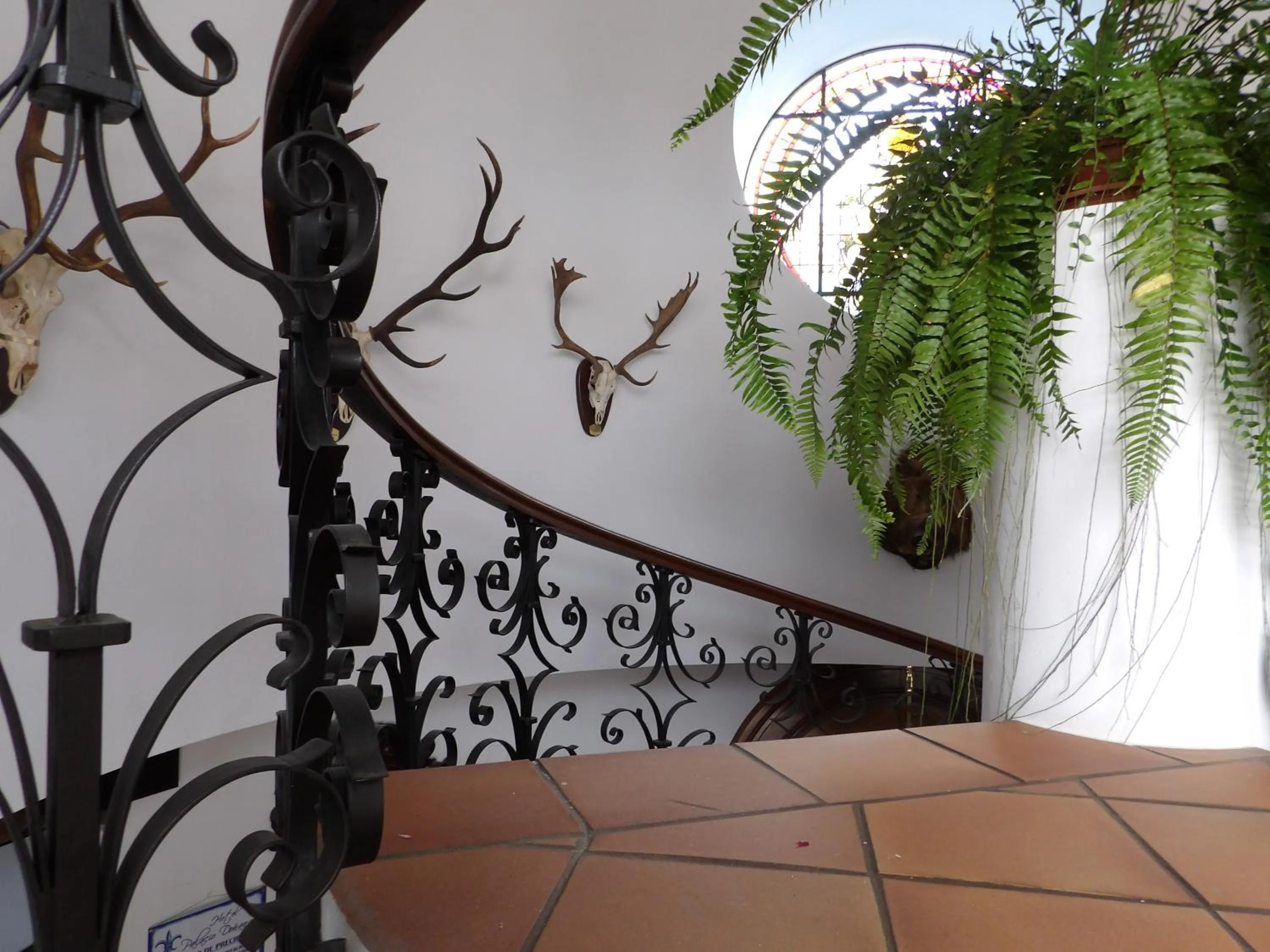 Decorative detail in Palacio Doñana , Rural & Luxury