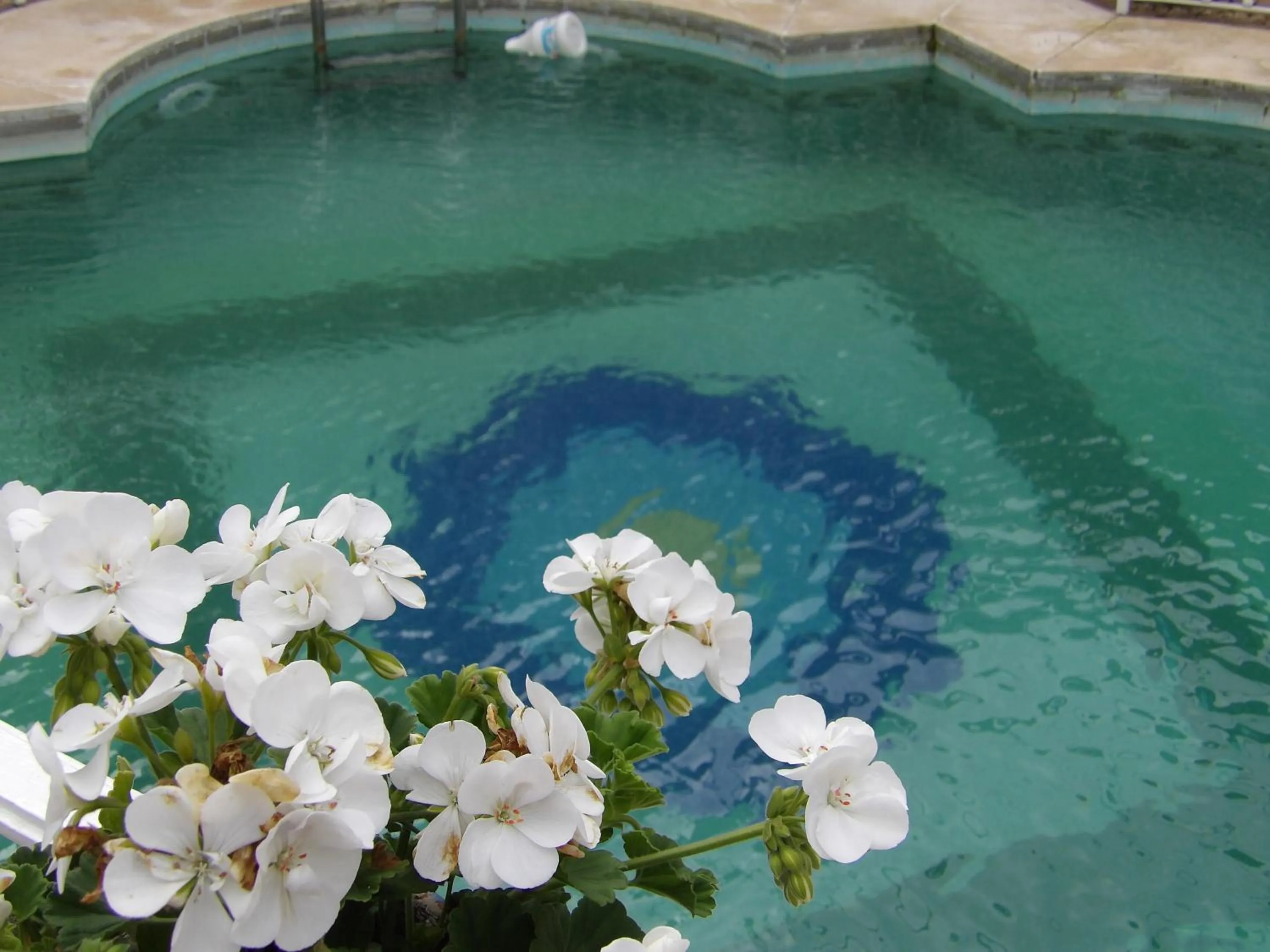 Decorative detail in Palacio Doñana , Rural & Luxury