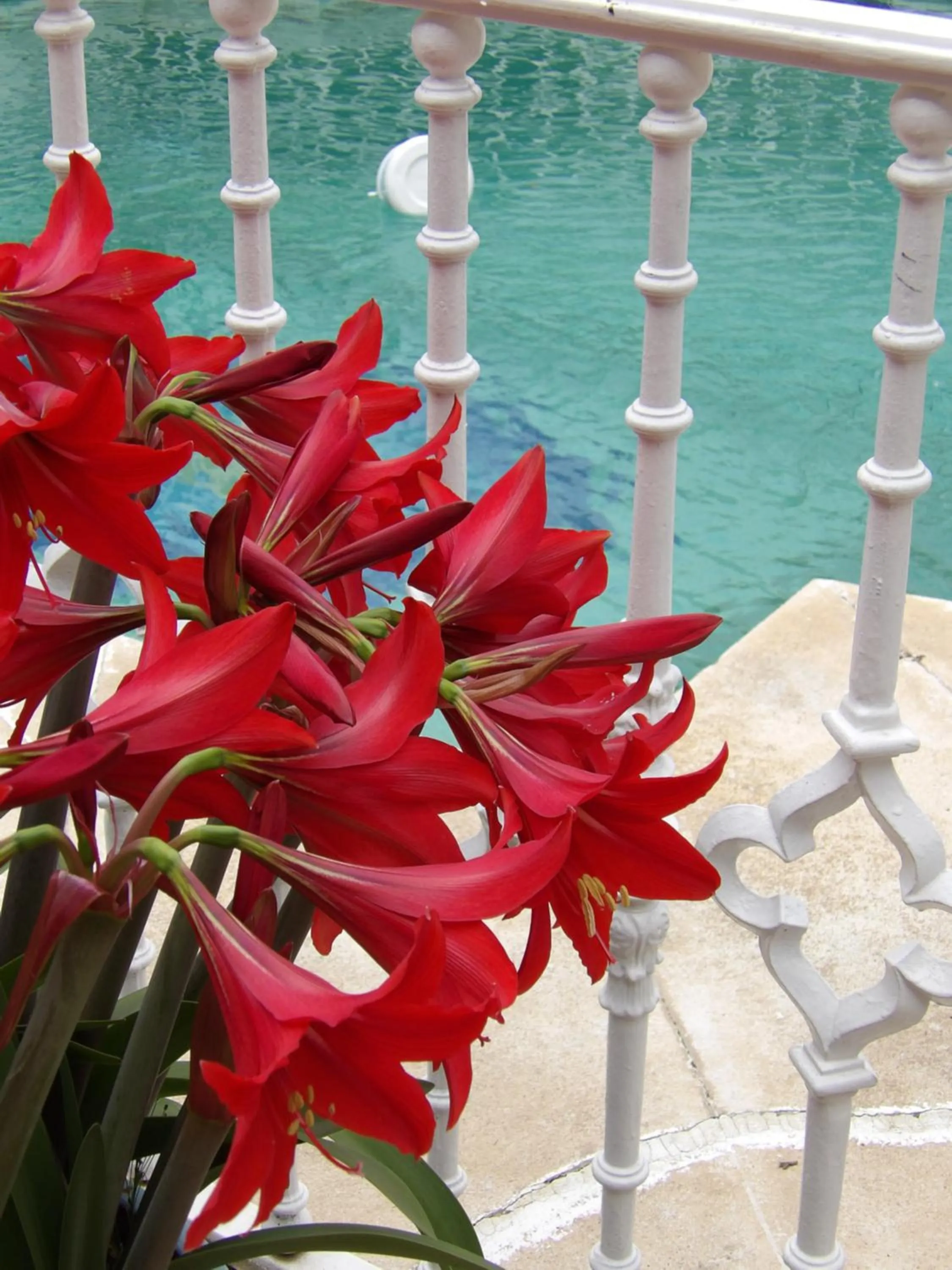 Decorative detail in Palacio Doñana , Rural & Luxury