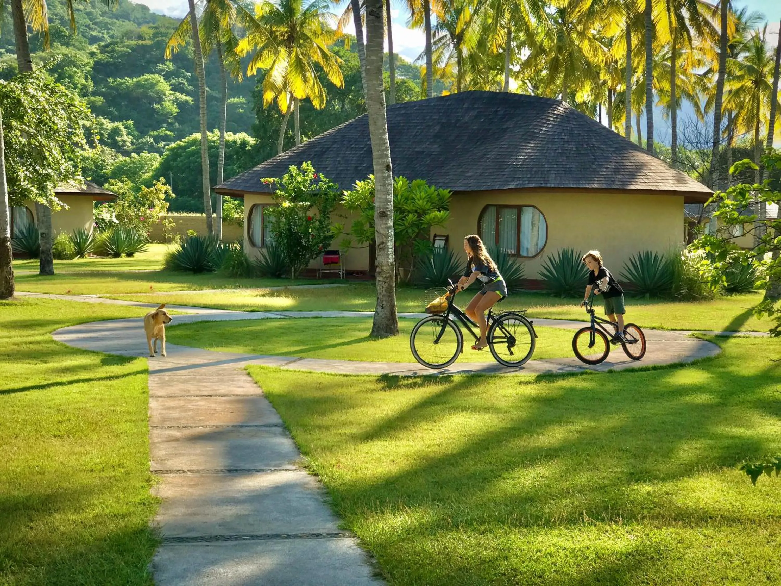 Garden in Whales and Waves