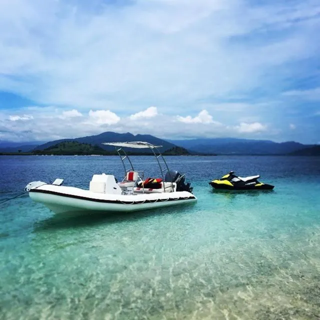 Day in Whales and Waves