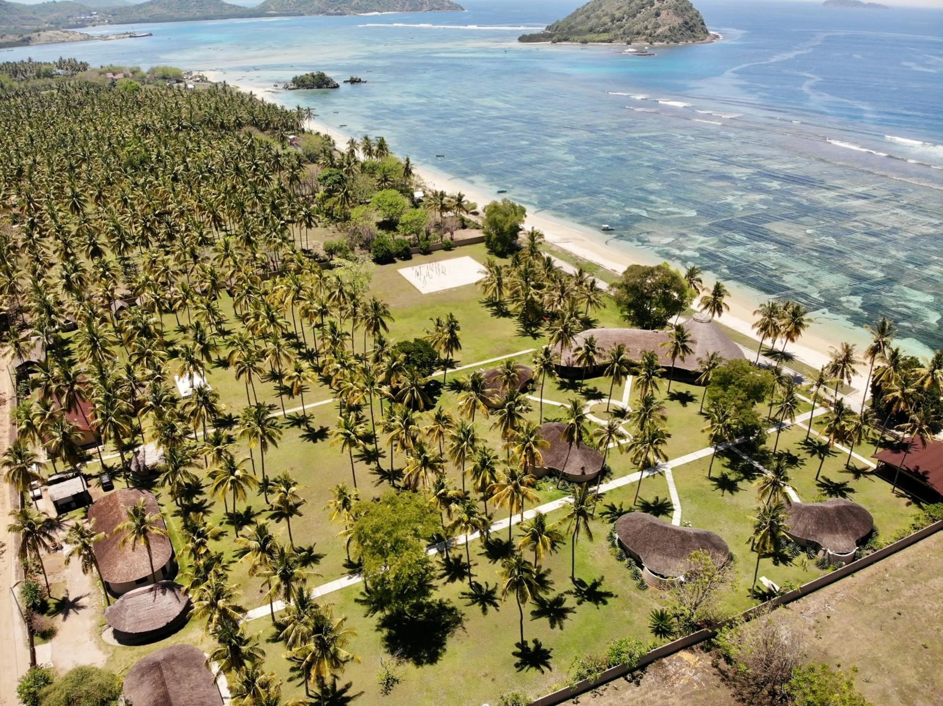 Bird's eye view in Whales and Waves
