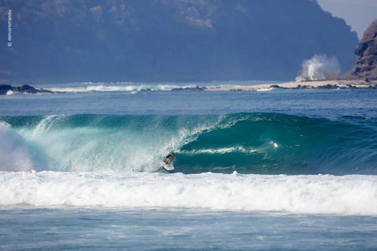 Day in Whales and Waves