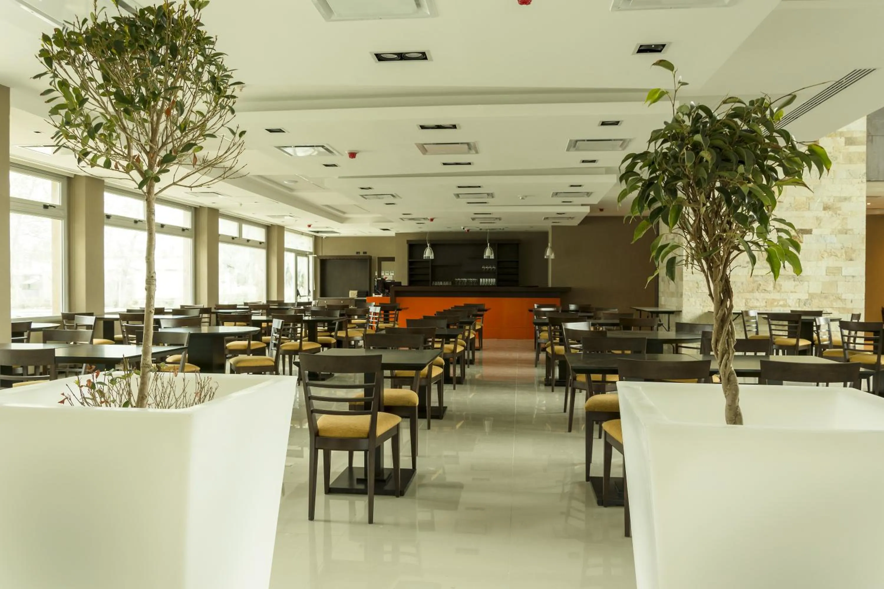 Lounge or bar in Howard Johnson Neuquen