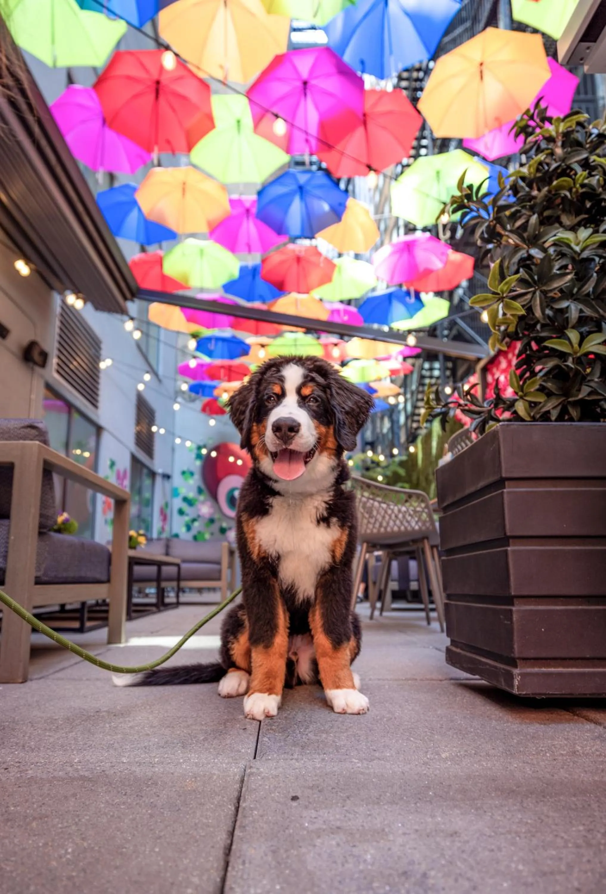 Day in INNSiDE by Meliá New York Nomad