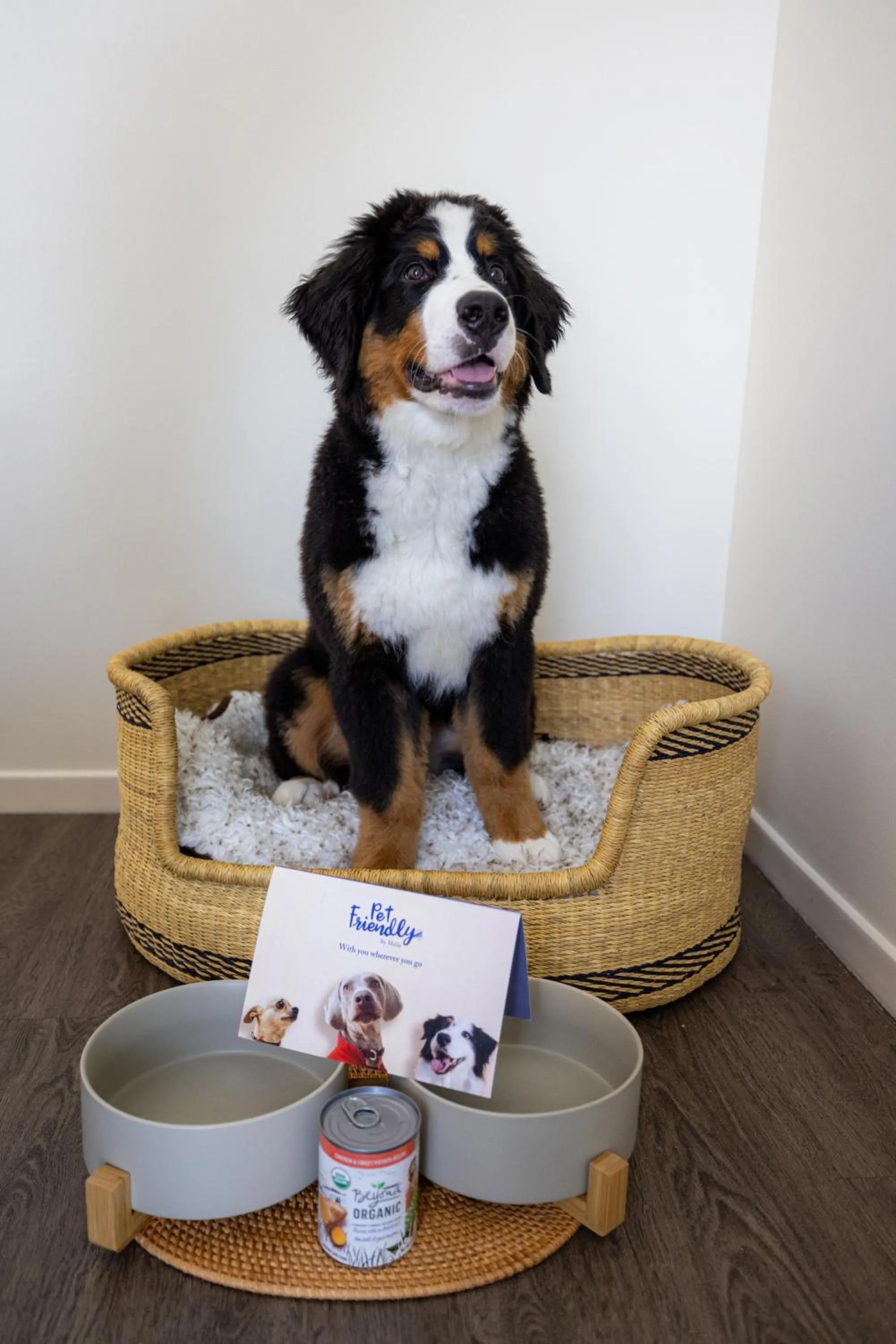 Pets in INNSiDE by Meliá New York Nomad