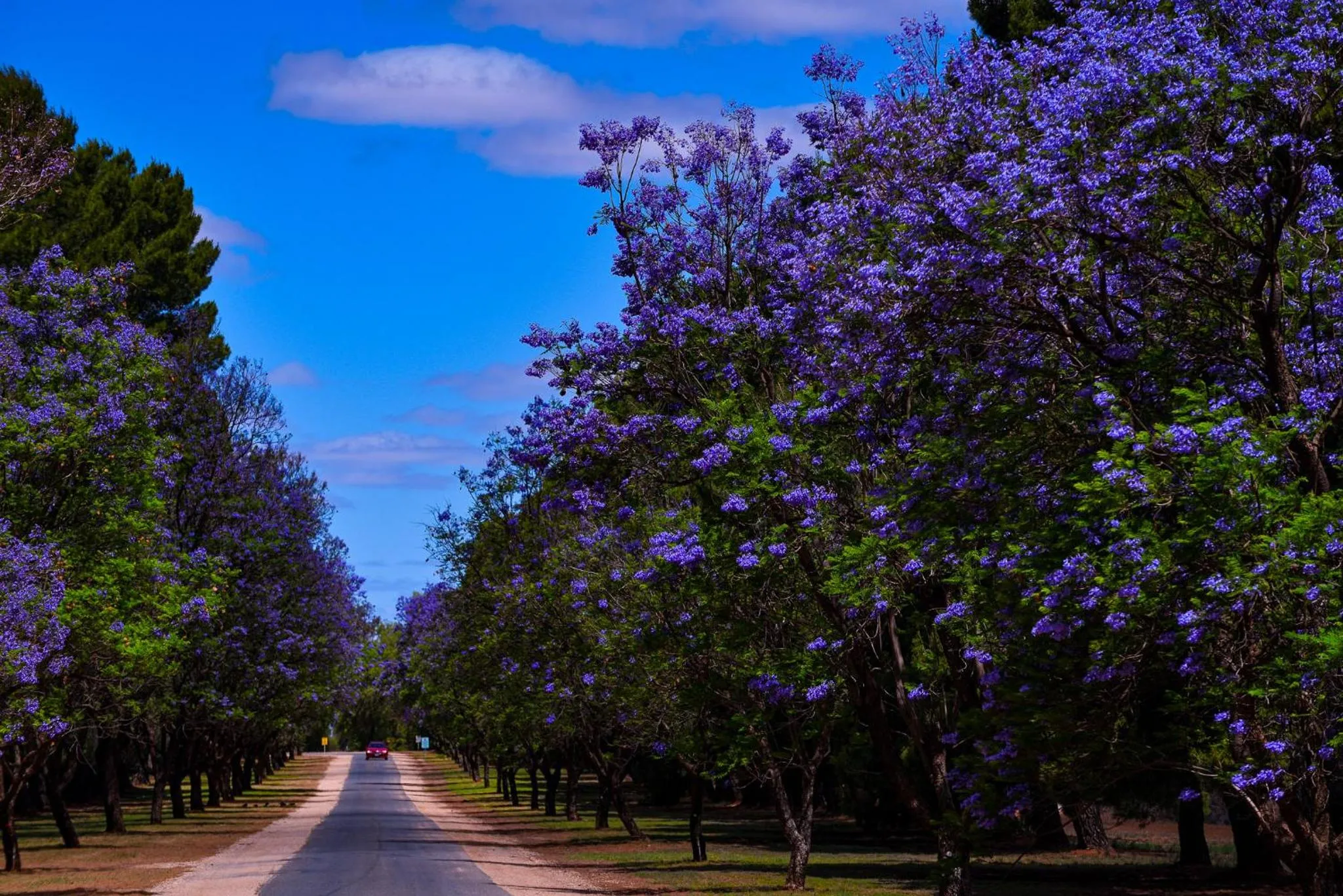 Area and facilities in Renmark Country Club