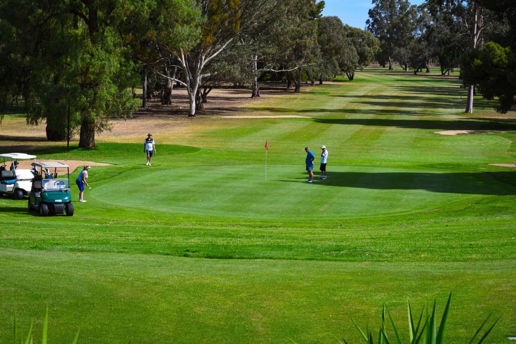Golfcourse in Renmark Country Club