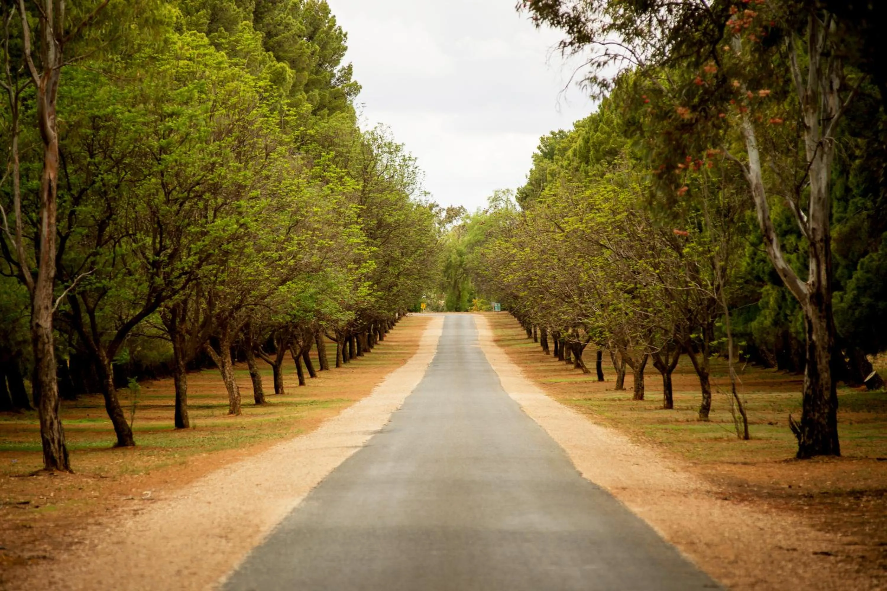 Facade/entrance in Renmark Country Club