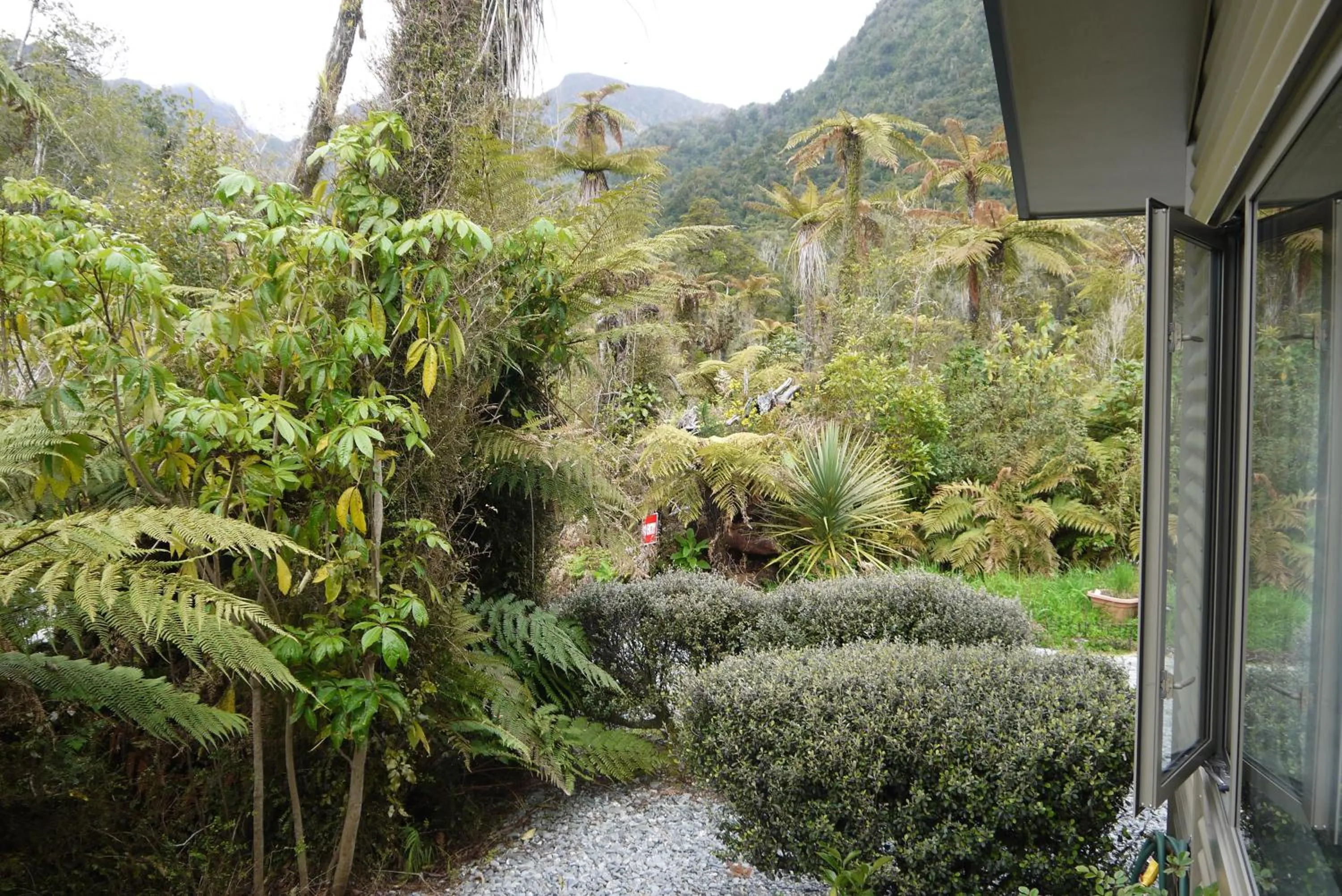 Garden view in Franz Josef Treetops
