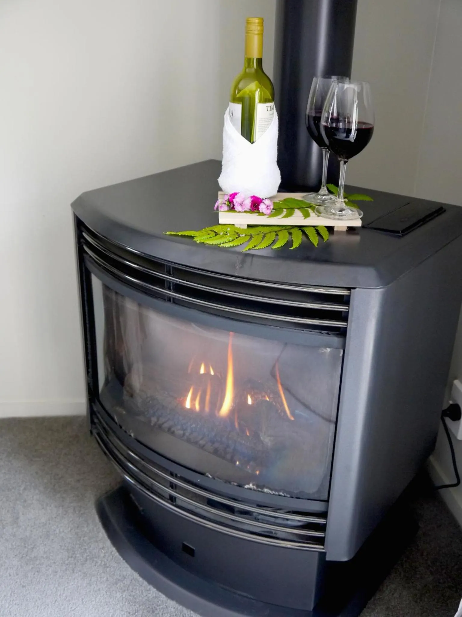 Other in Franz Josef Treetops