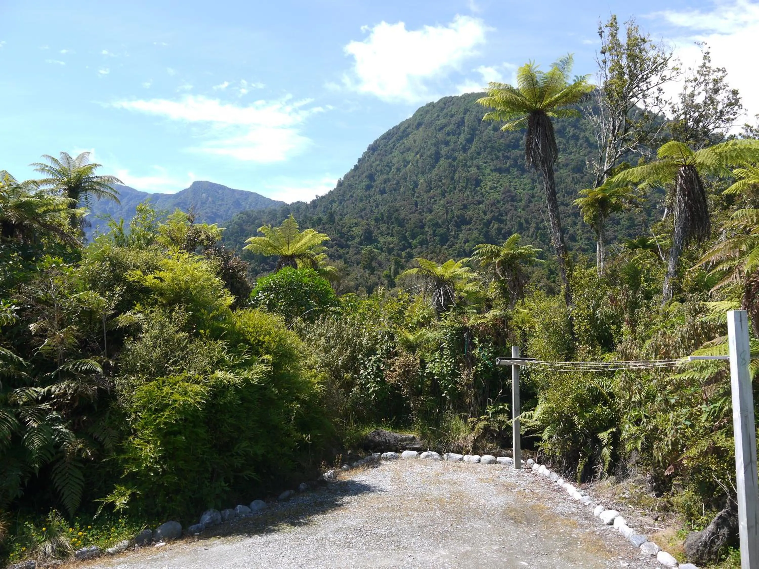 Mountain view in Franz Josef Treetops