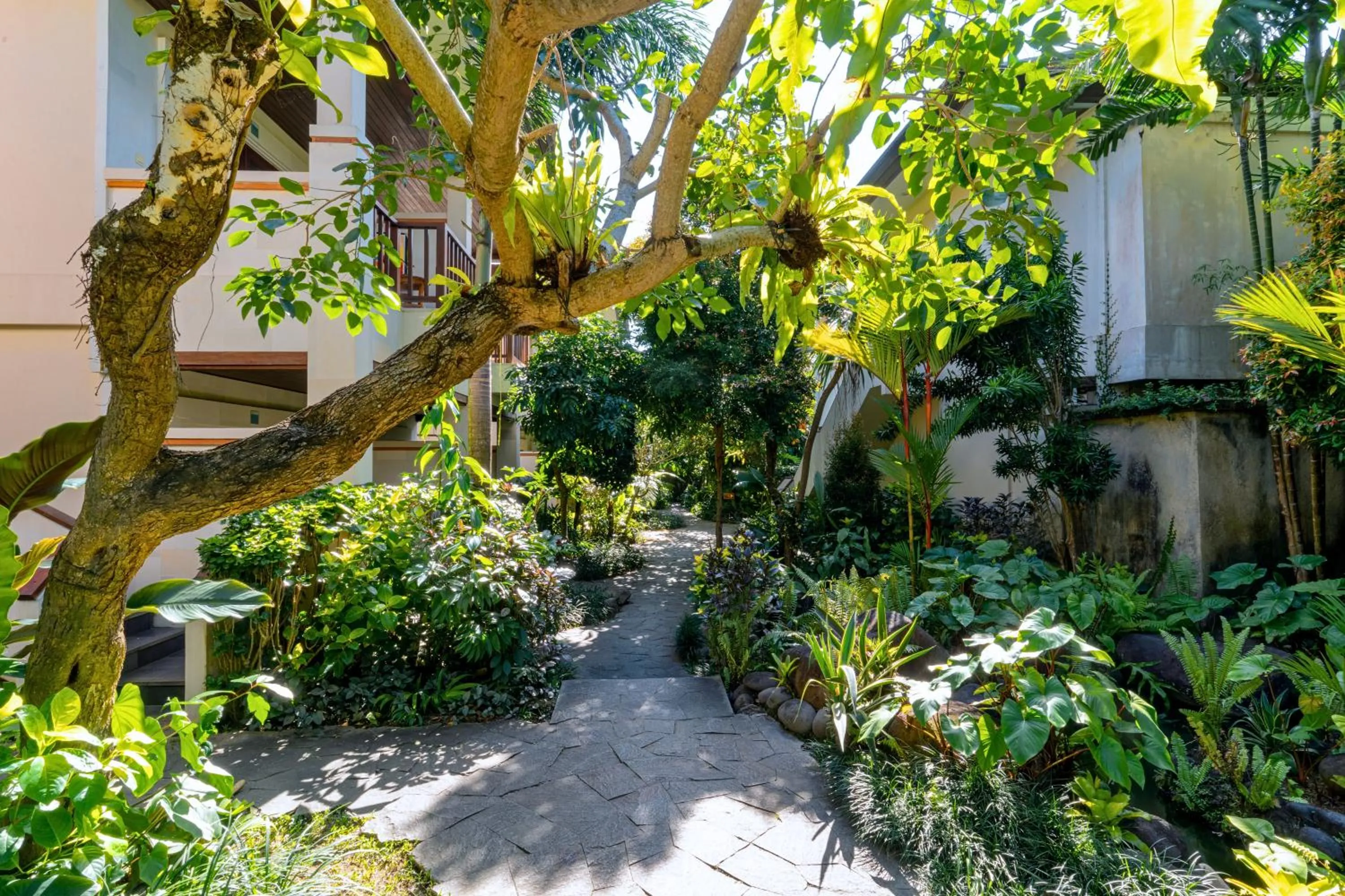 Garden in Radha Phala Resort & Spa