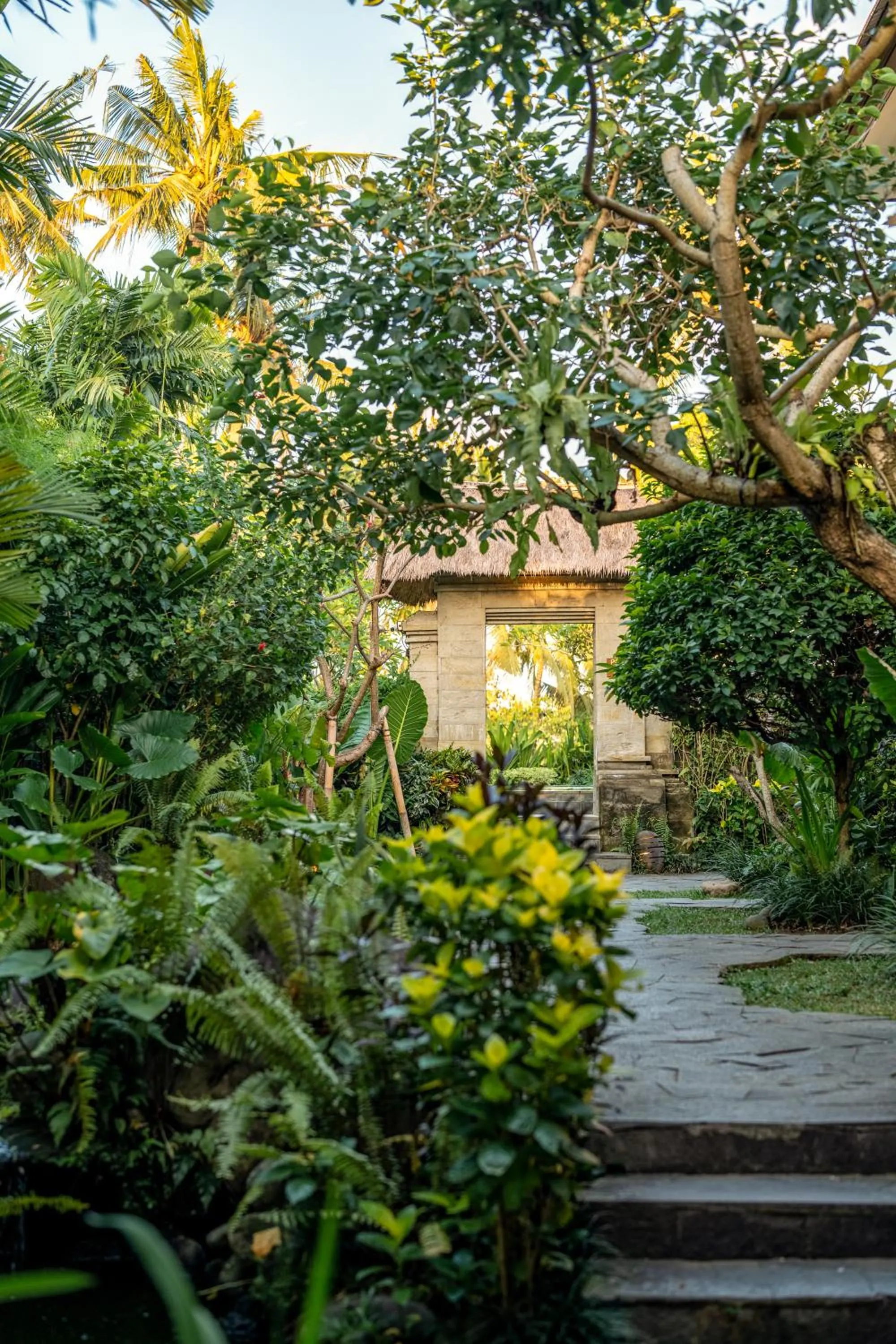 Natural landscape in Radha Phala Resort & Spa