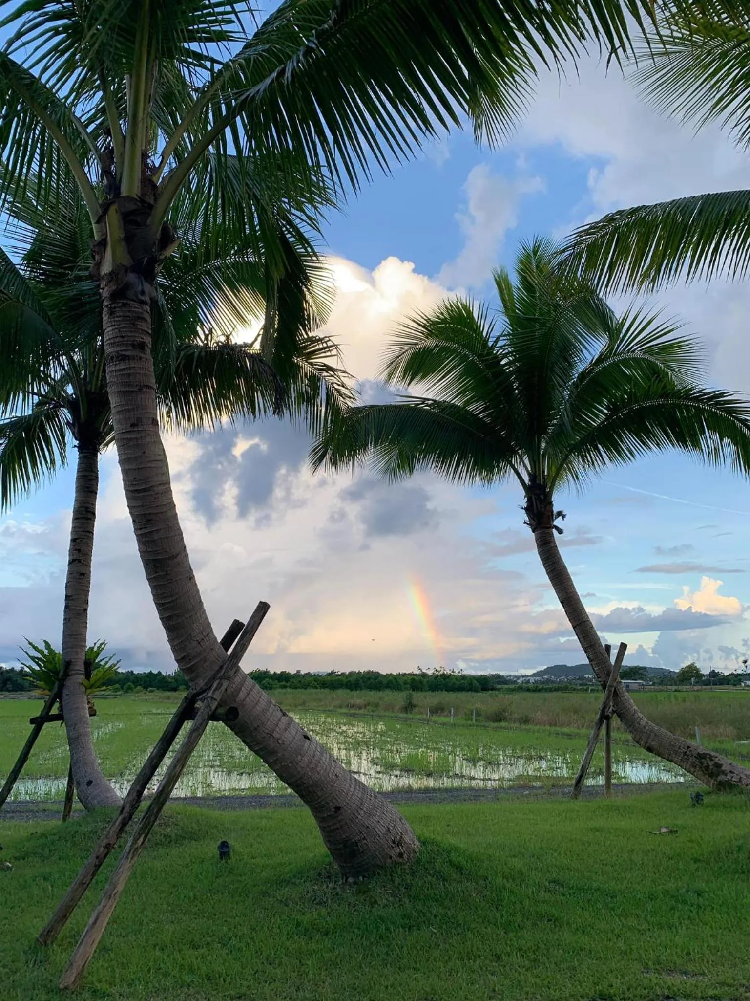 Property building in Simple Life B&B