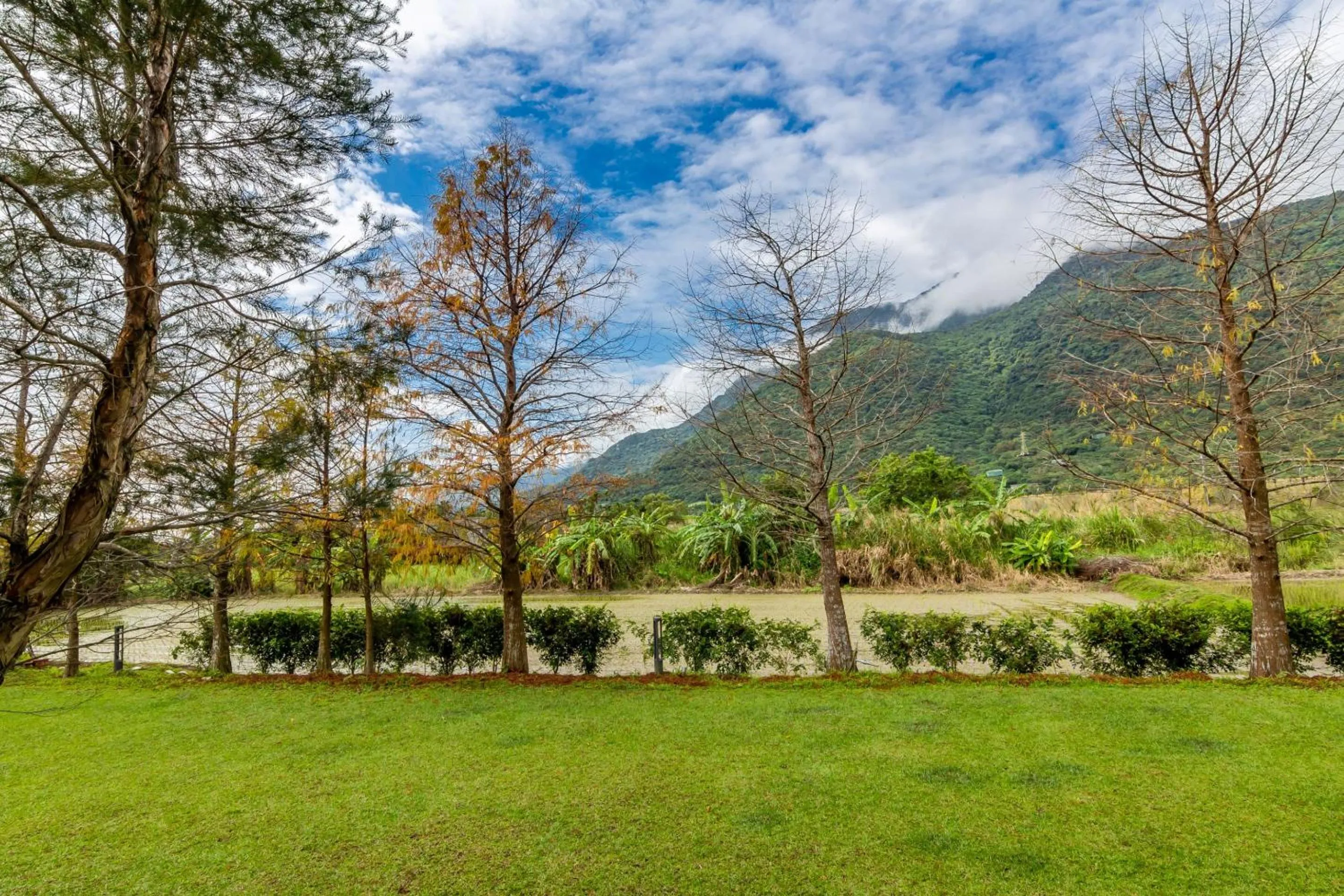 Decorative detail in Simple Life B&B