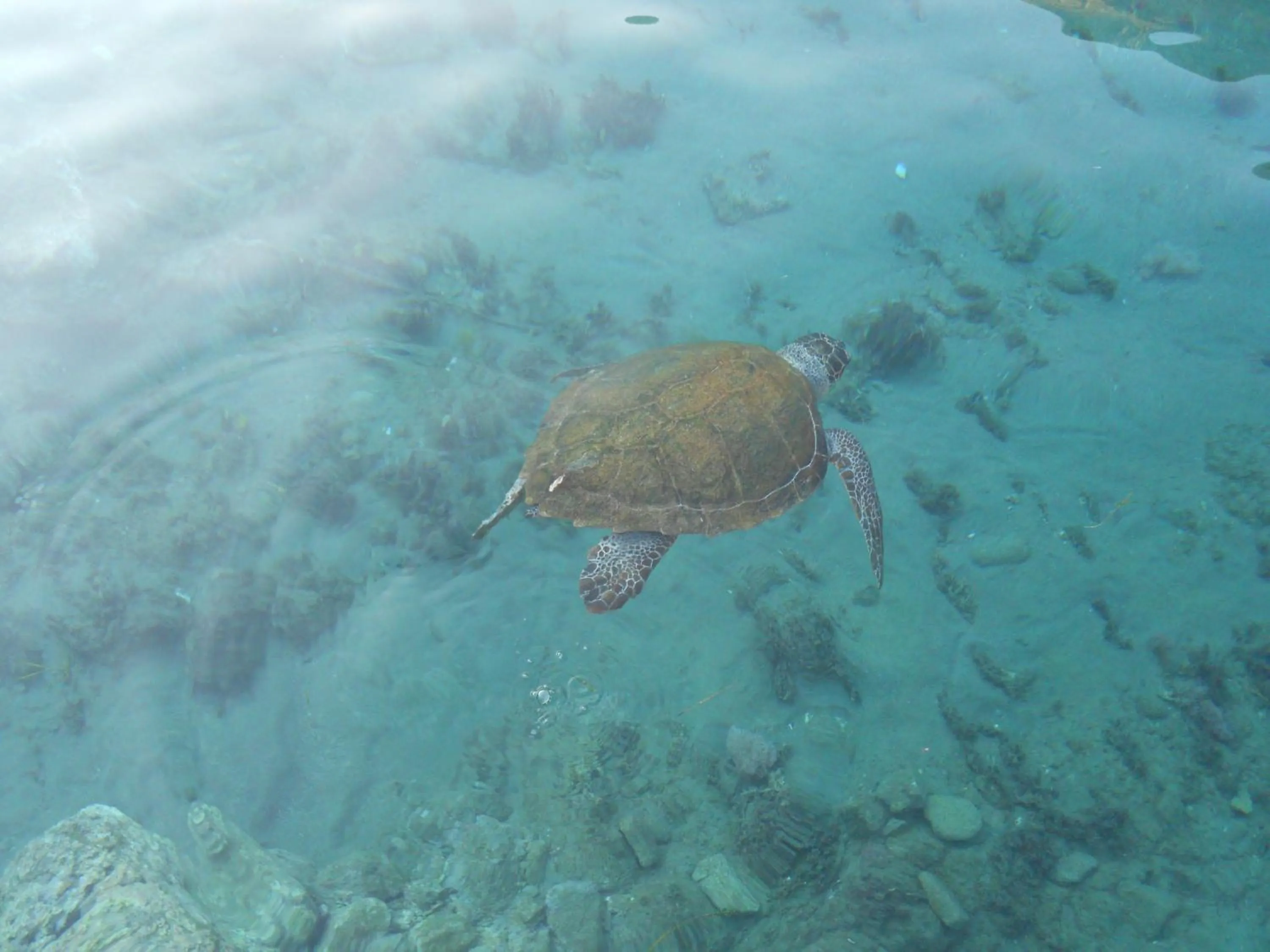 Day in Daskalogiannis Hotel