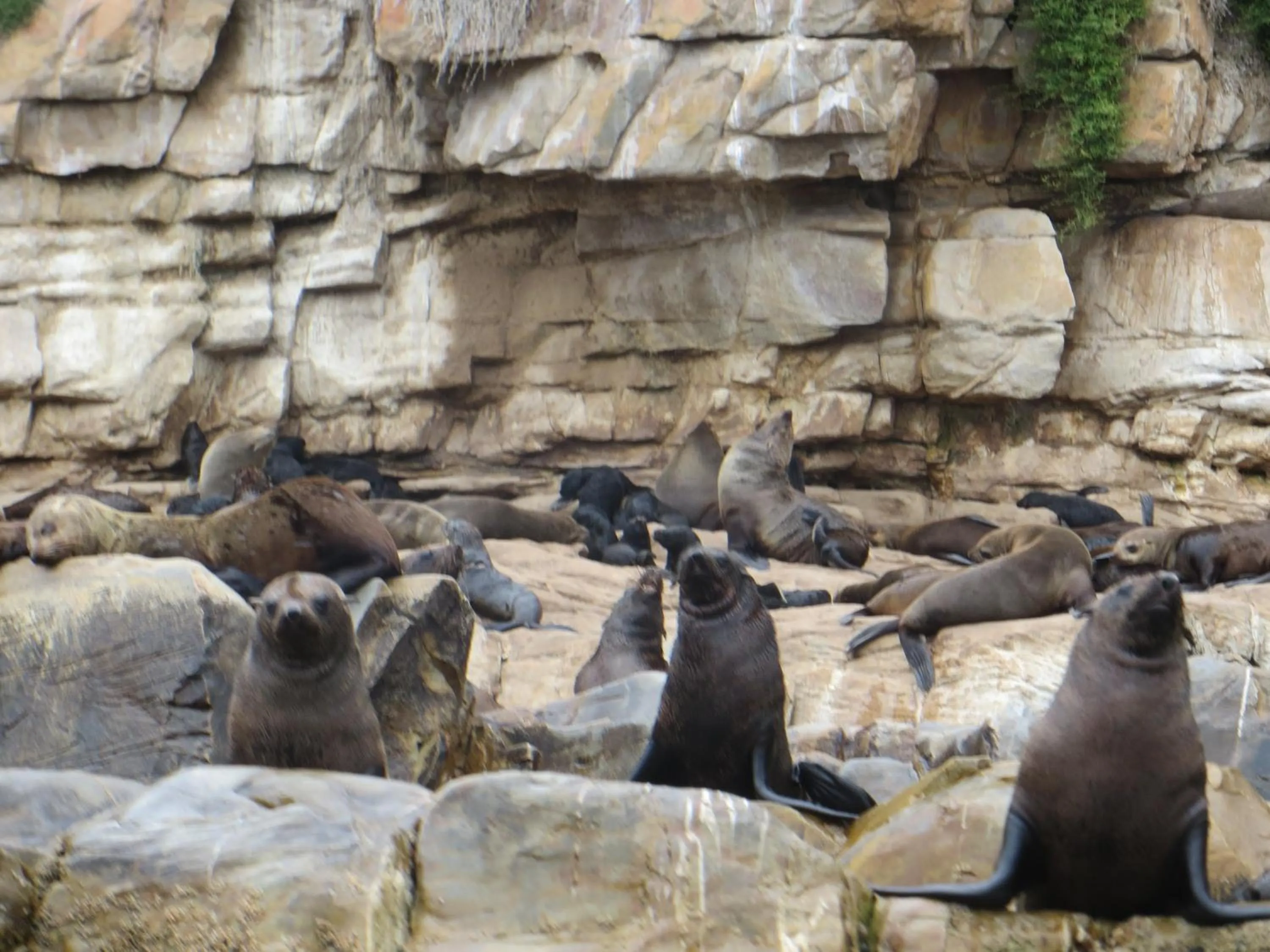 Diving in Lala Panzi B&B