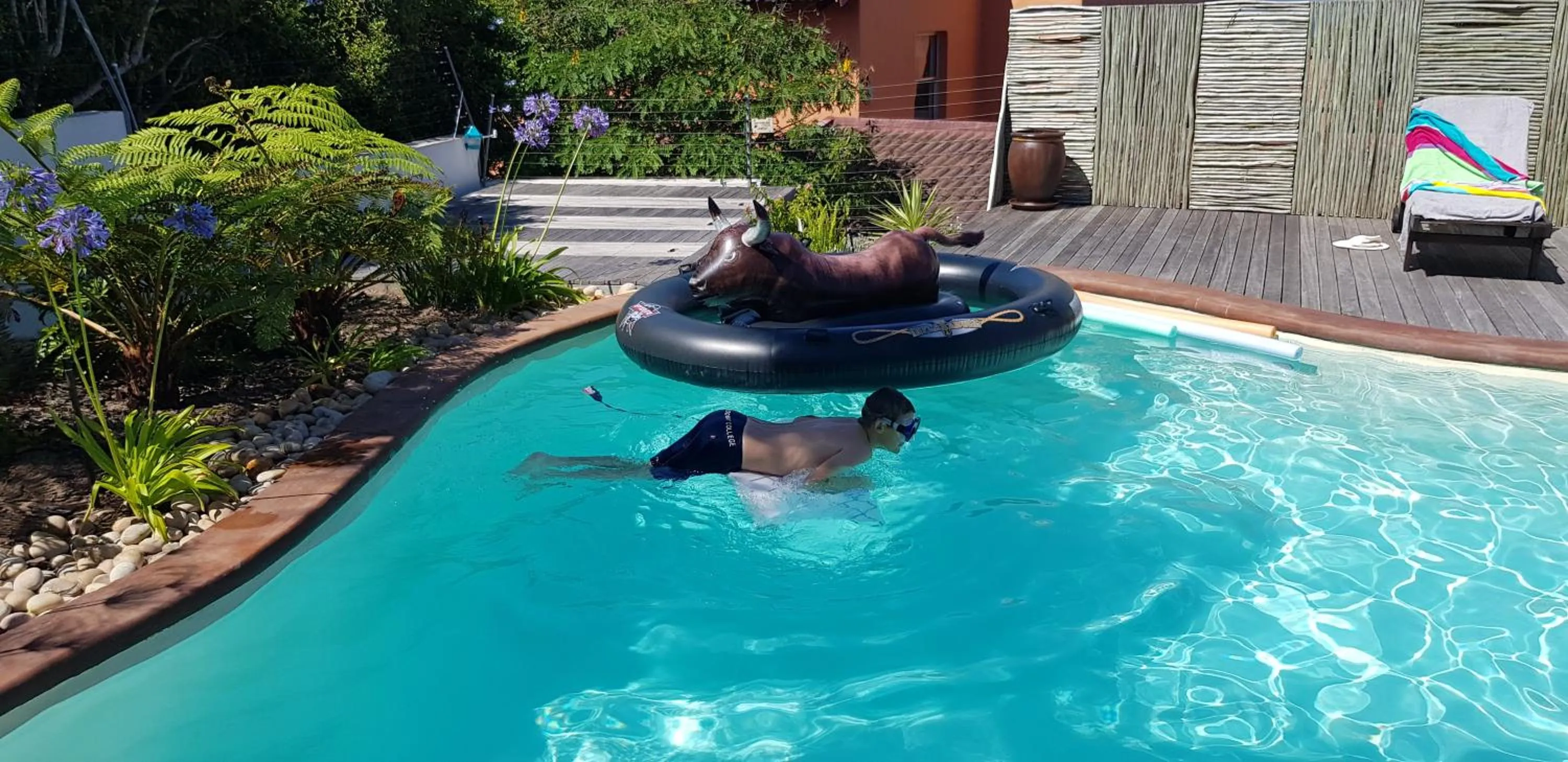 Swimming pool in Lala Panzi B&B