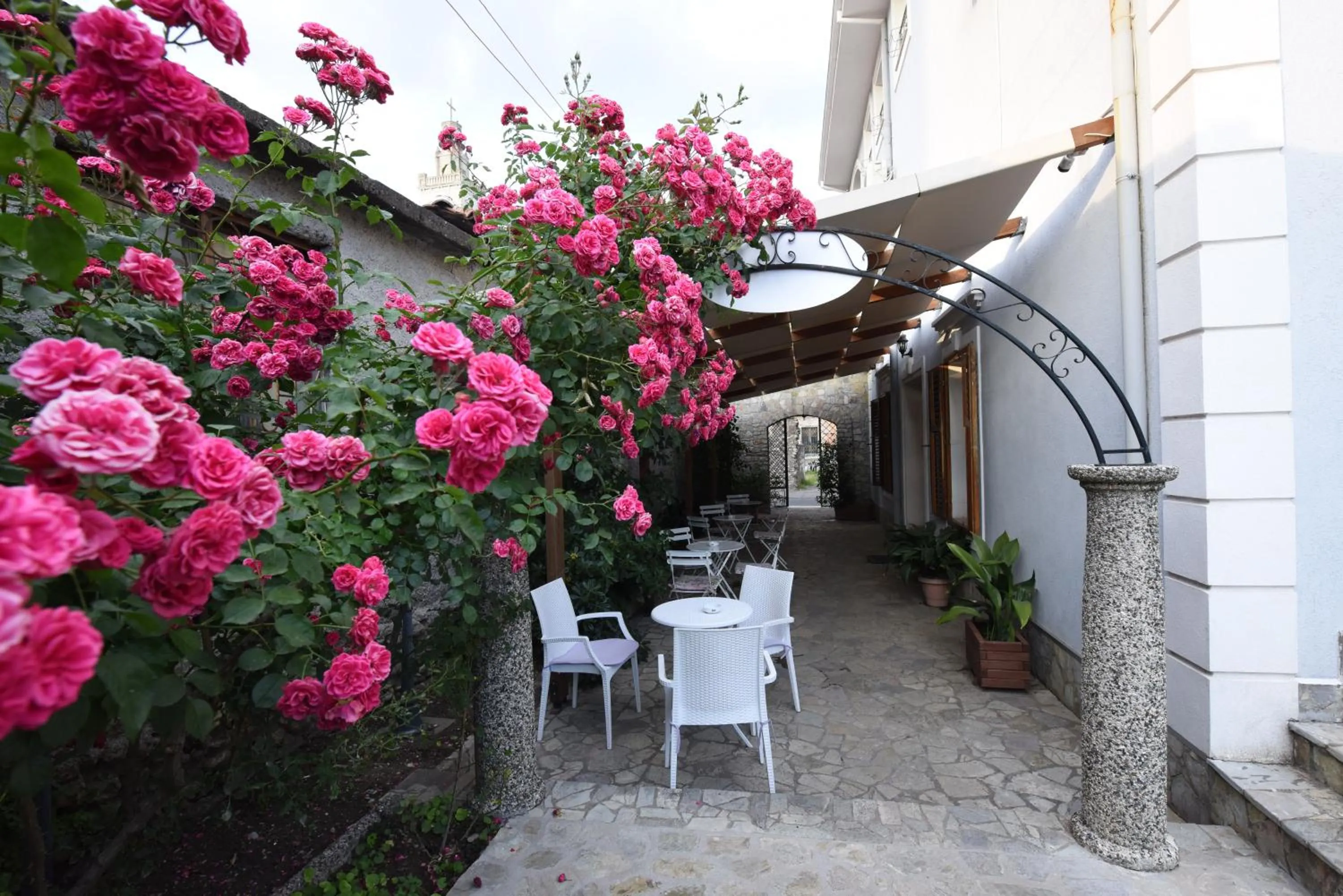 Garden in Rose Garden Hotel