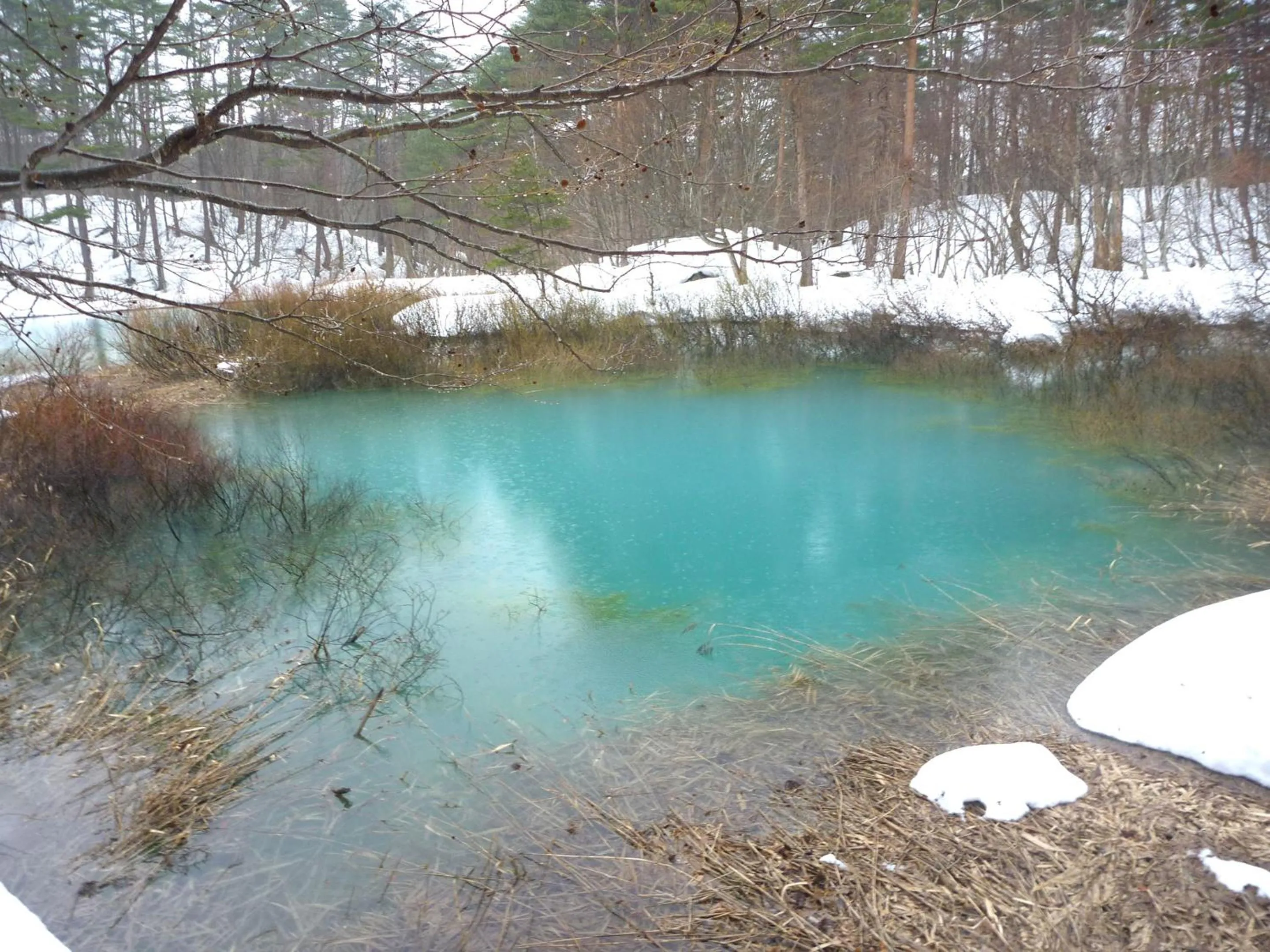 Off site in Urabandai Lake Resort Goshiki no Mori