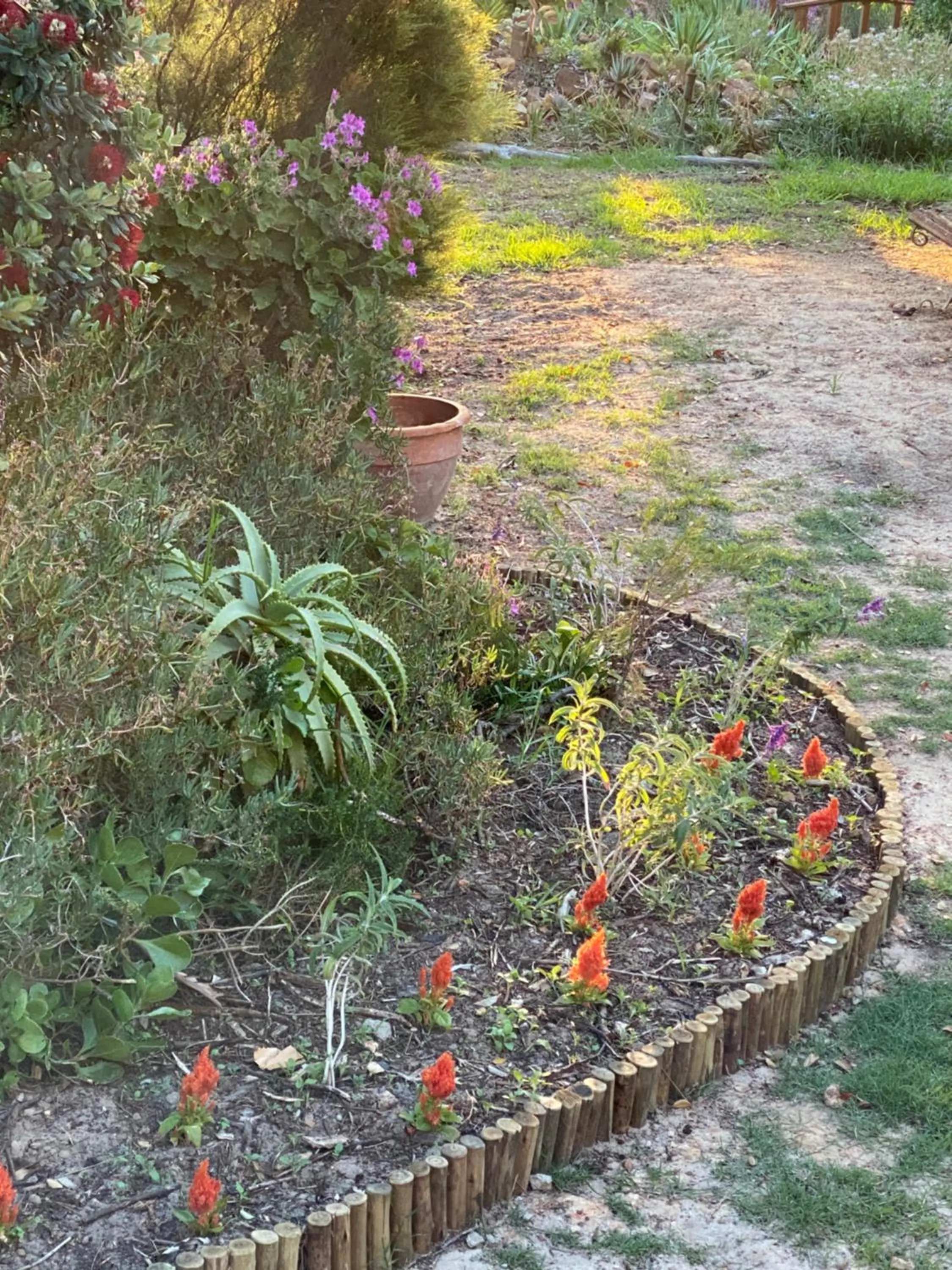 Garden in Wild Rose Country Lodge