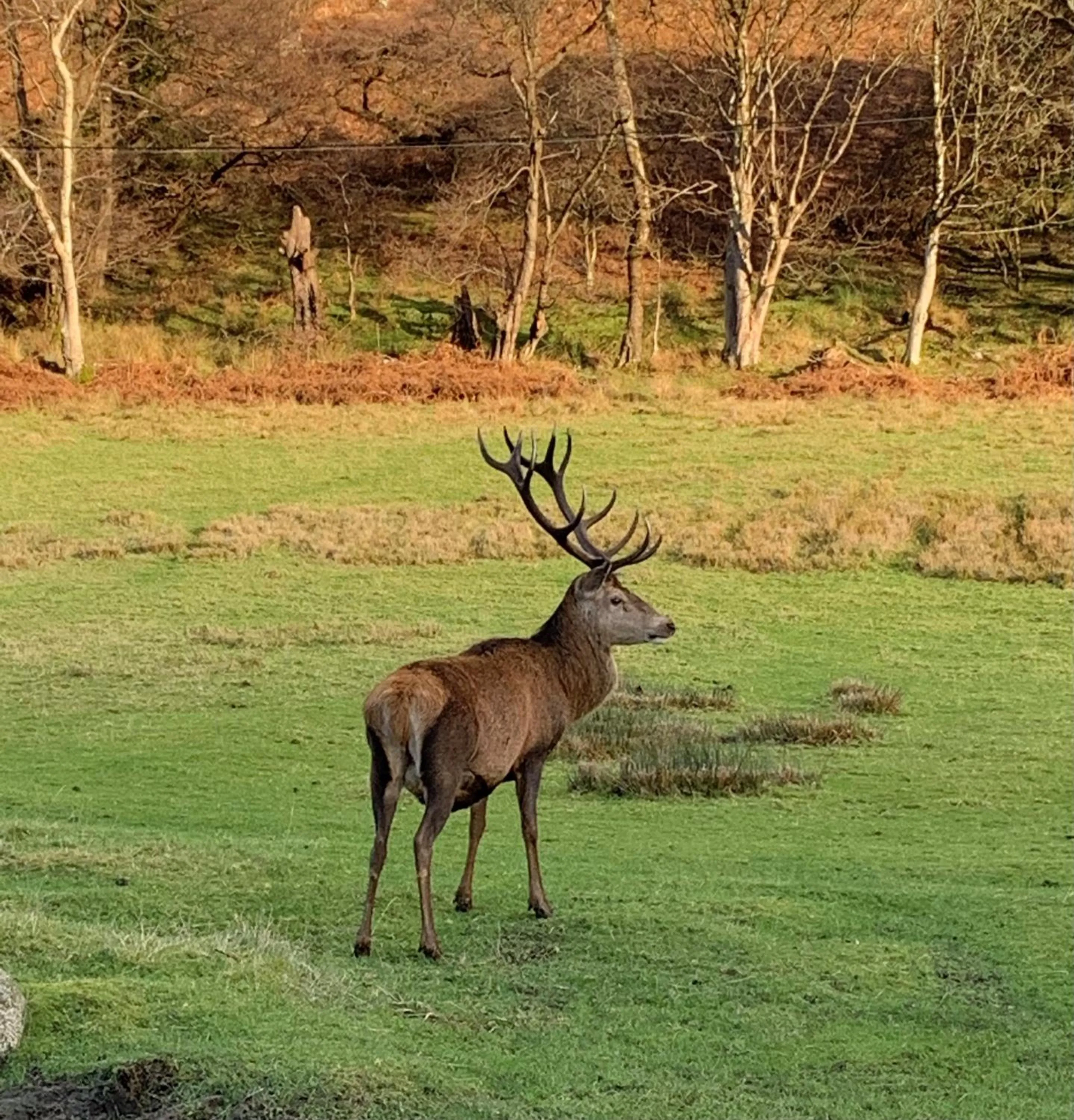 Natural landscape in The Corrie Hotel