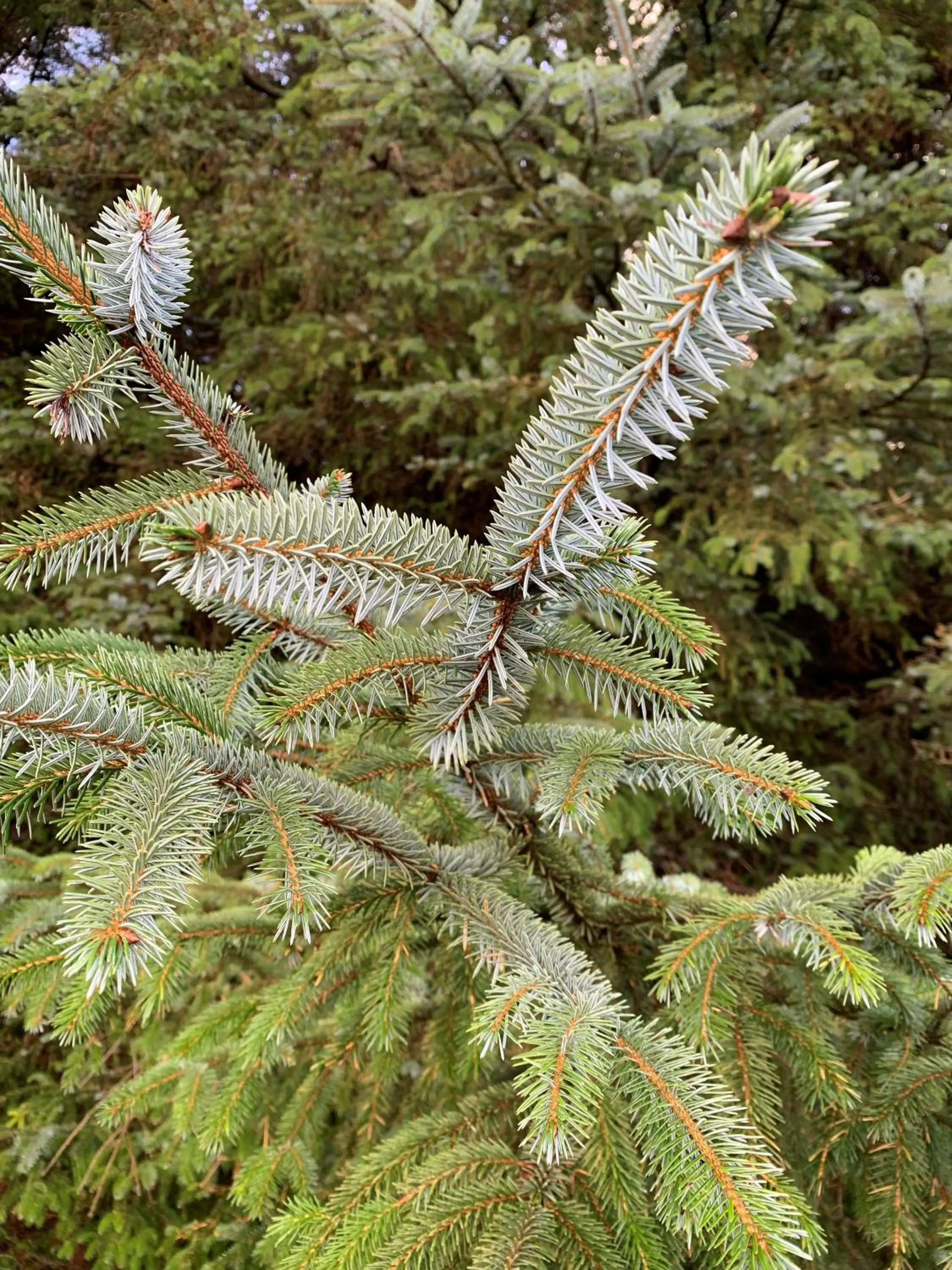 Natural landscape in The Corrie Hotel