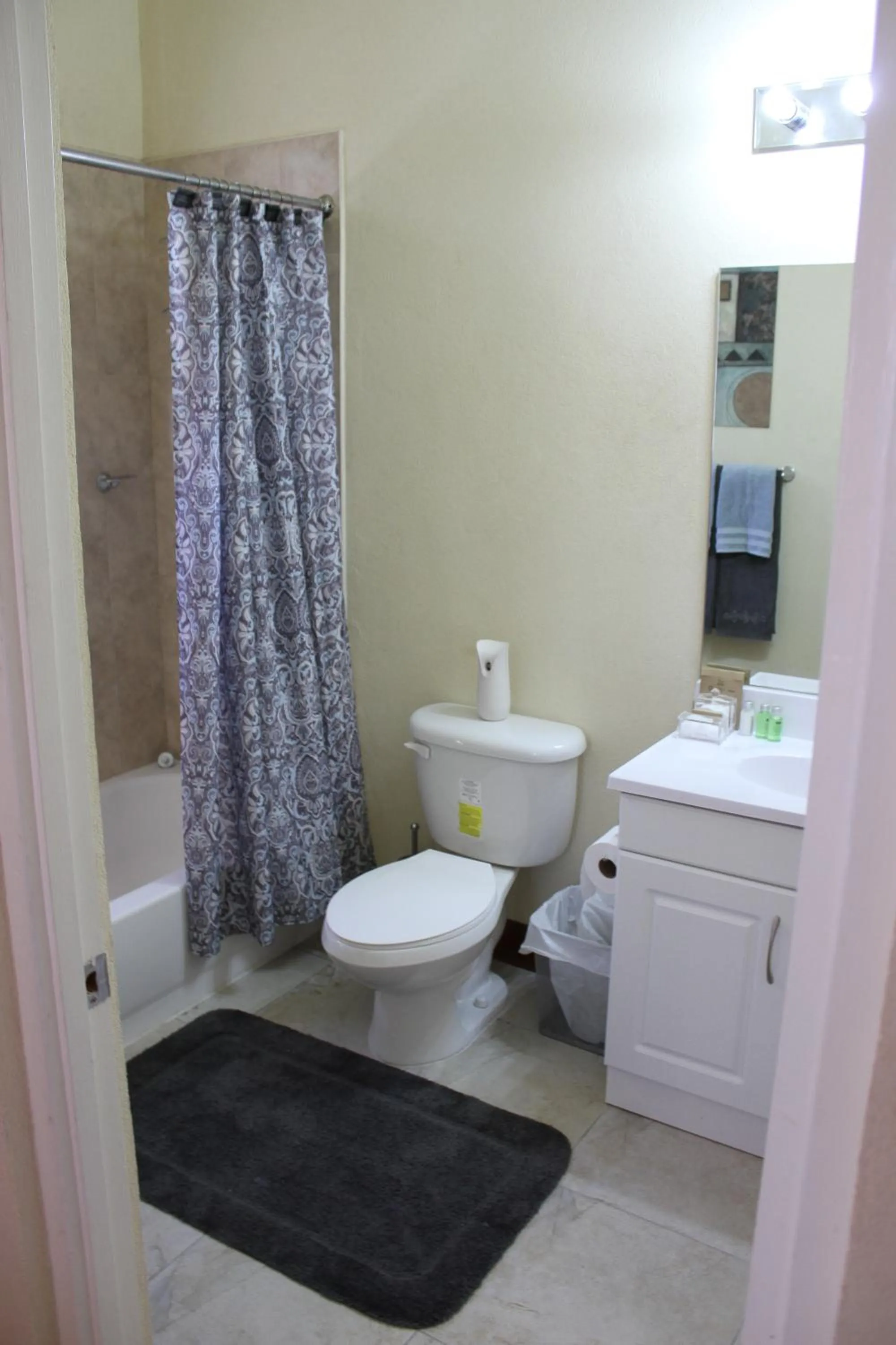 Toilet in Eclipse Suite Guest Apartment