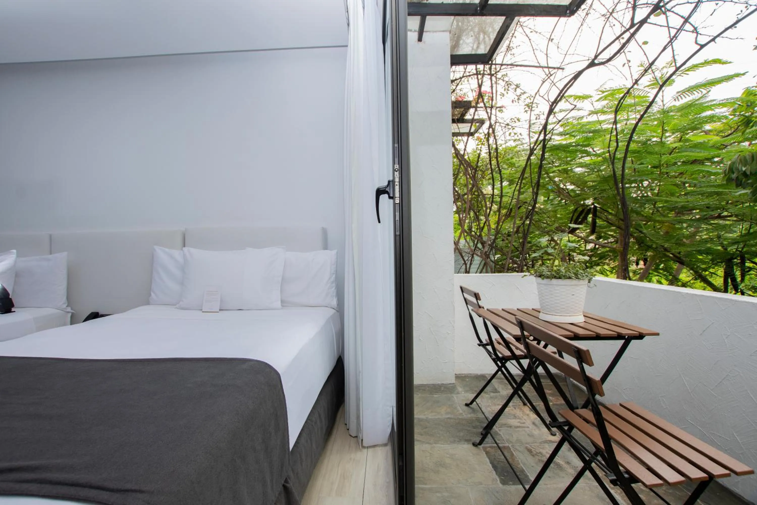 Bed in Golden Bay Galapagos