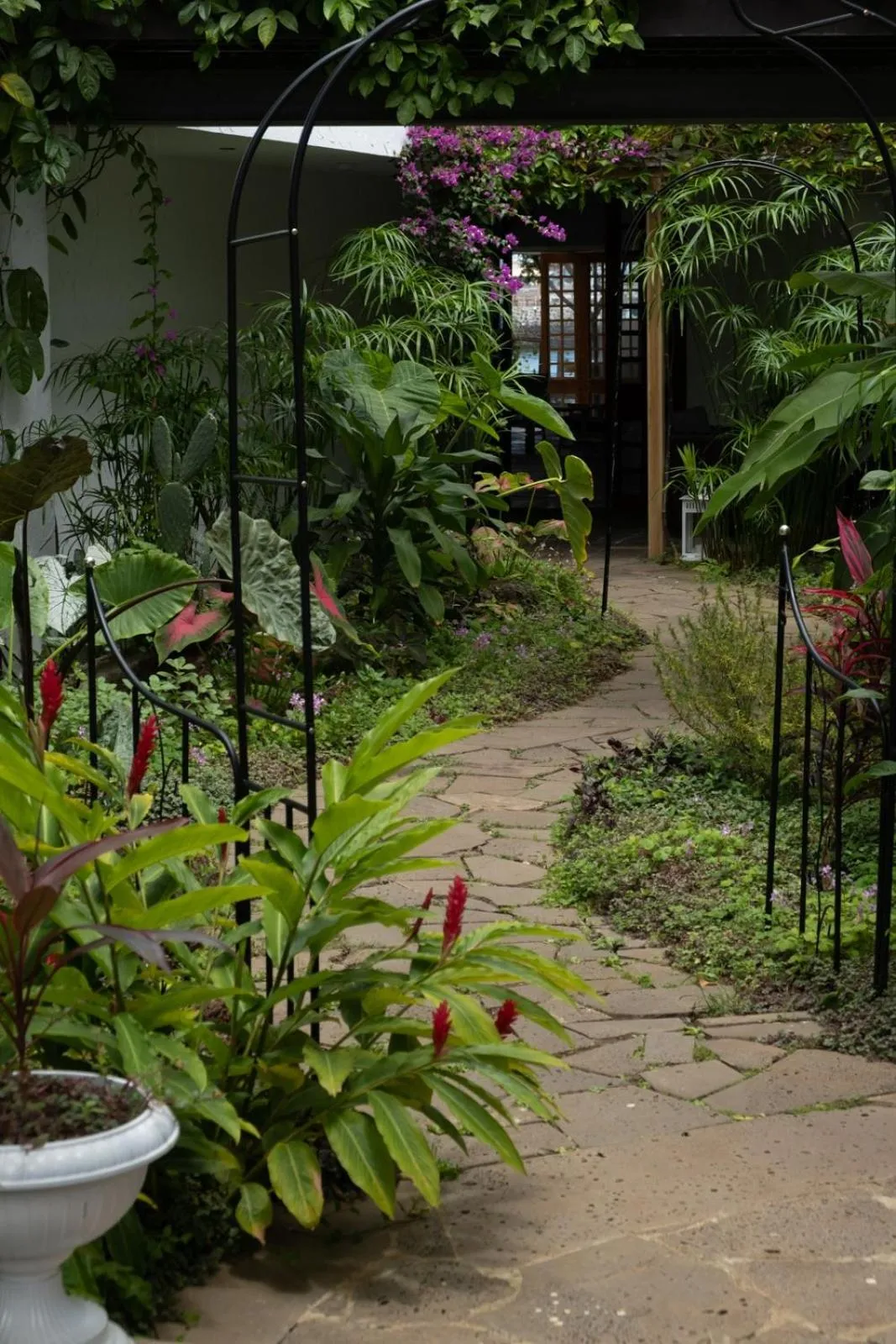 Garden in Golden Bay Galapagos