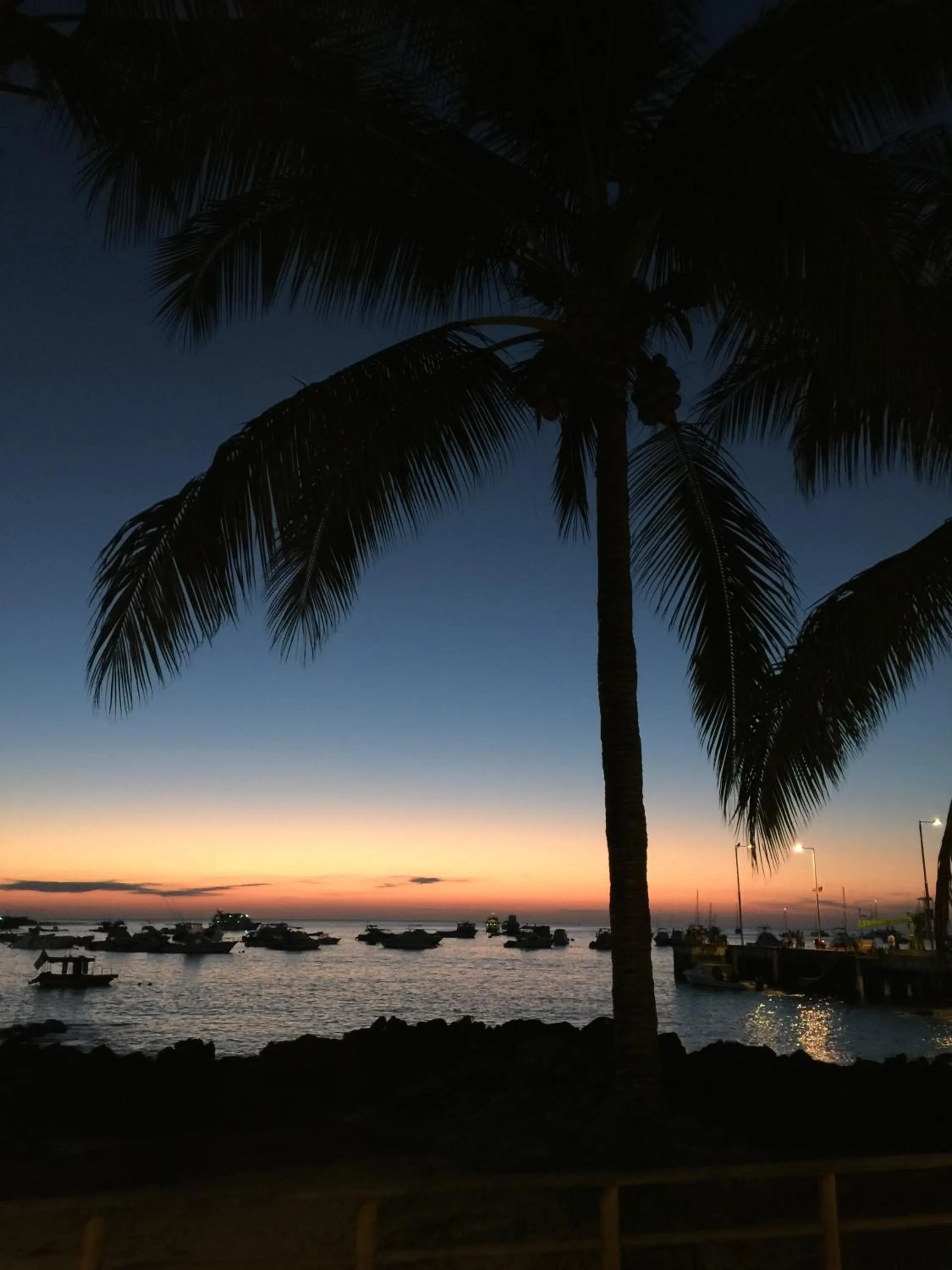 Natural landscape in Golden Bay Galapagos