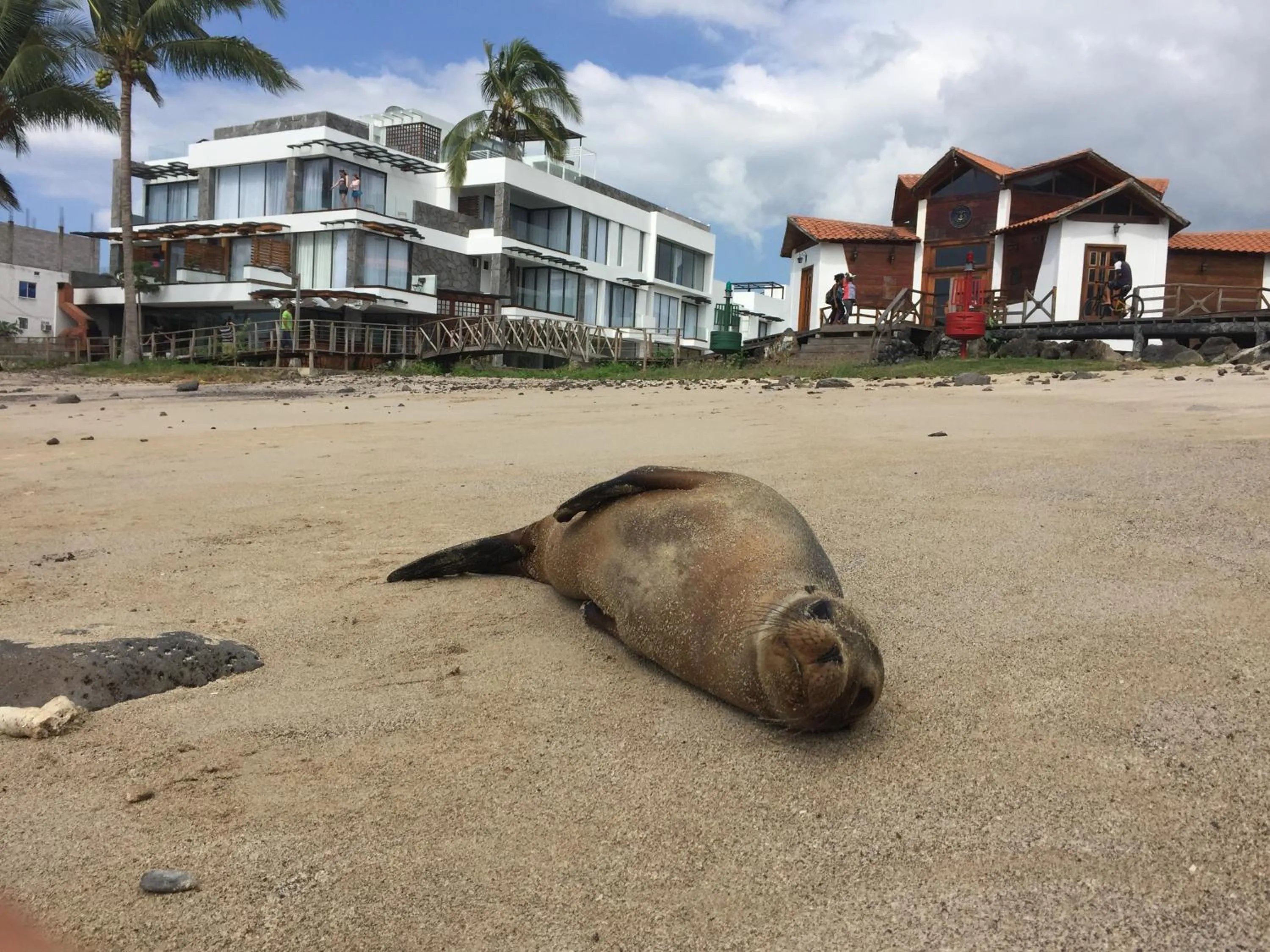 Property building in Golden Bay Galapagos